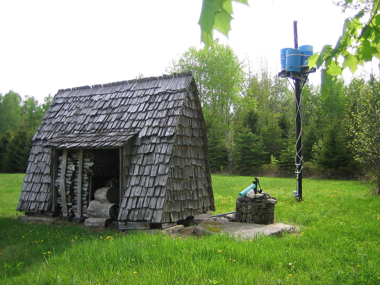 Picture of the site