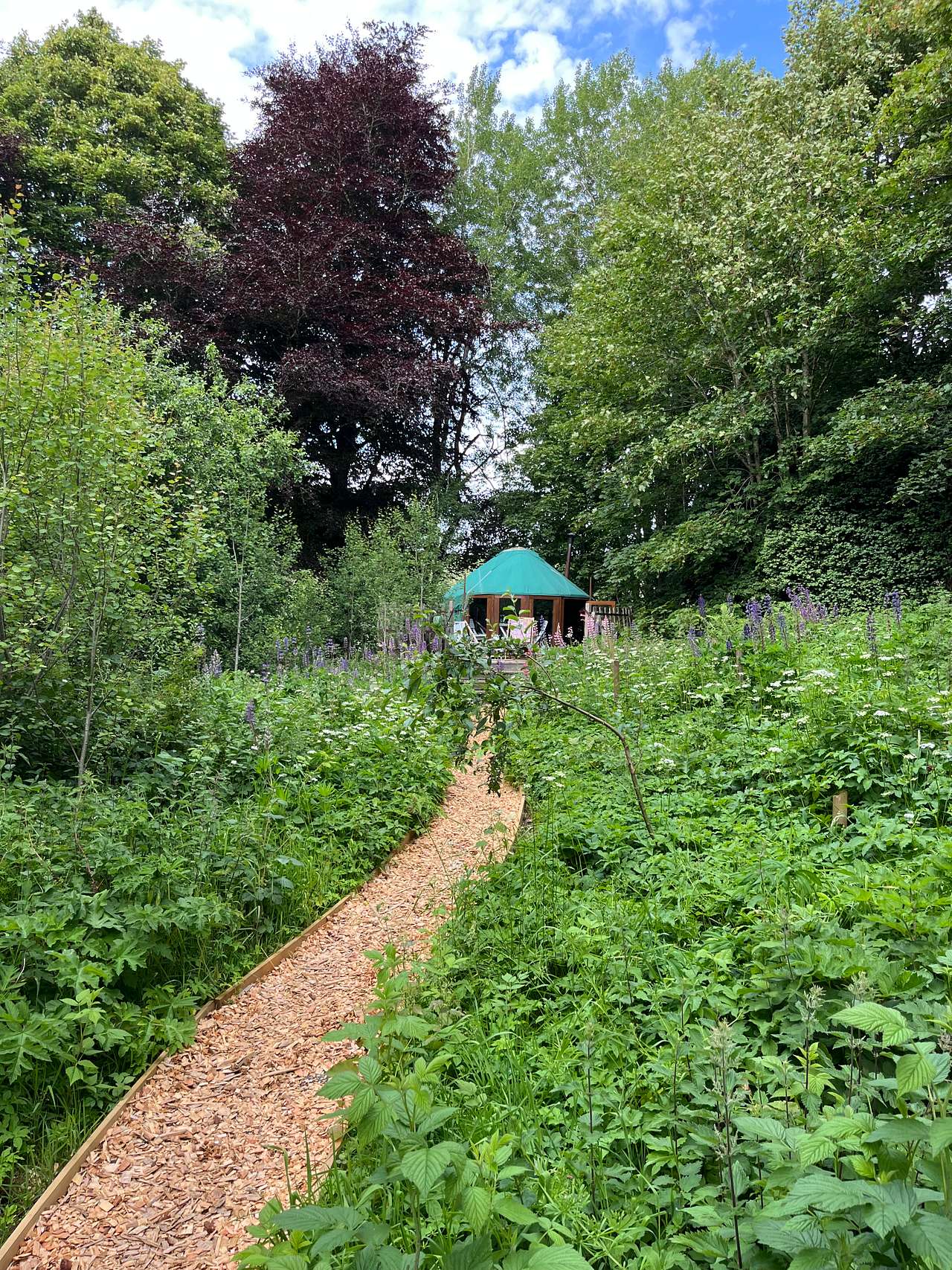 Bramble Yurt, home for 4 nights