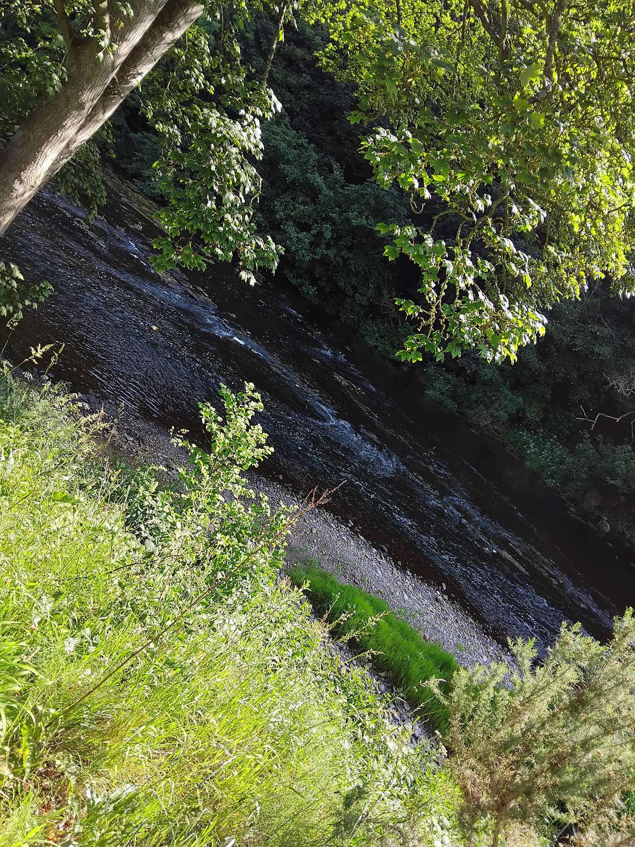 Very tranquil 