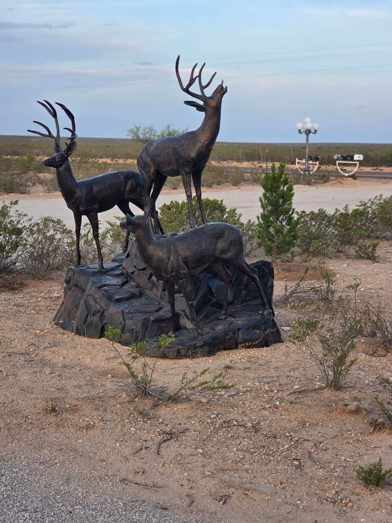 Mountain View RV Park