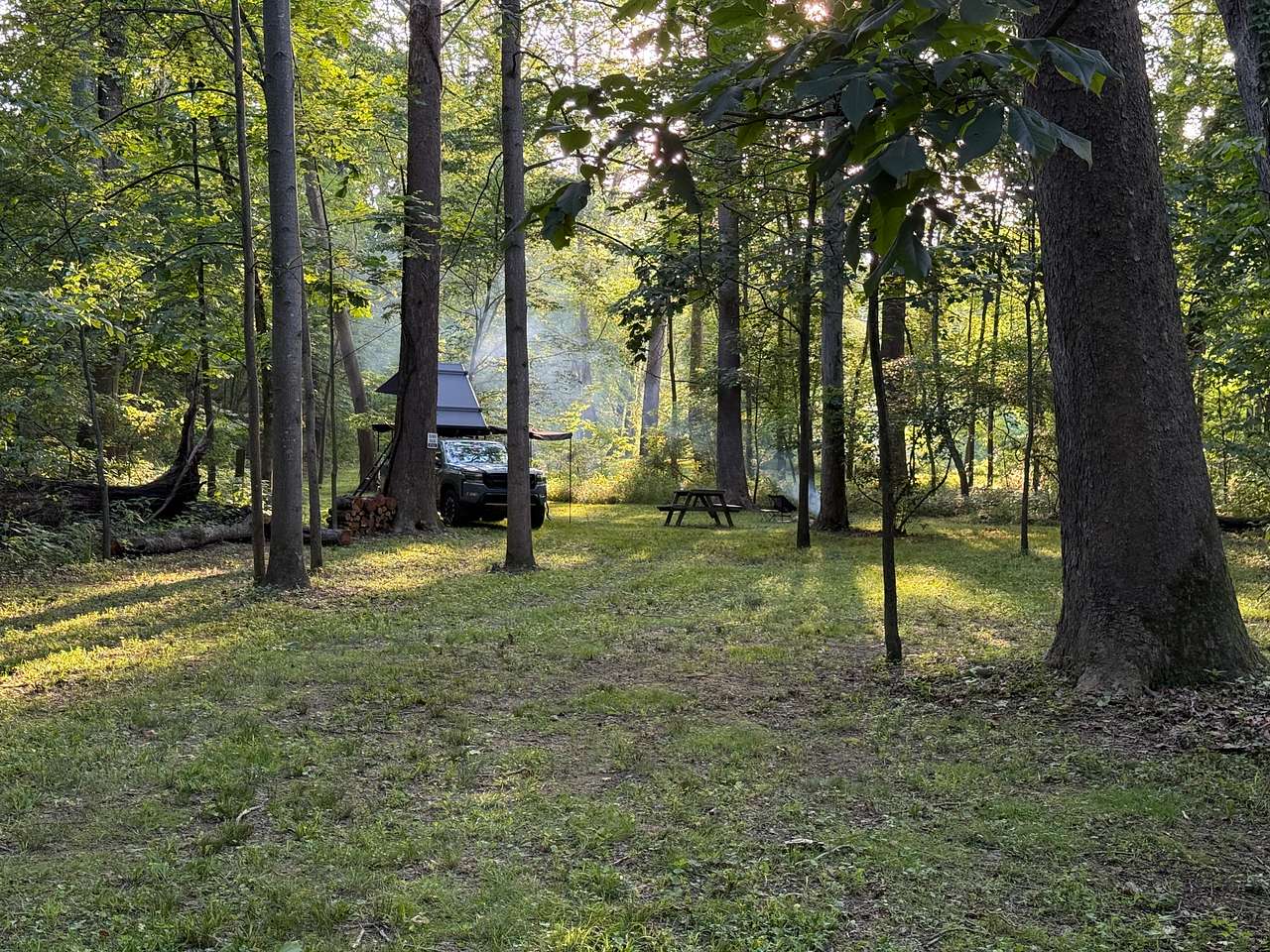 Picture of the site