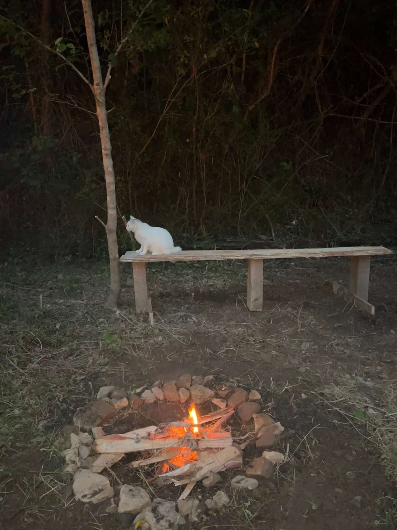 Daisy’s Farm and Campground