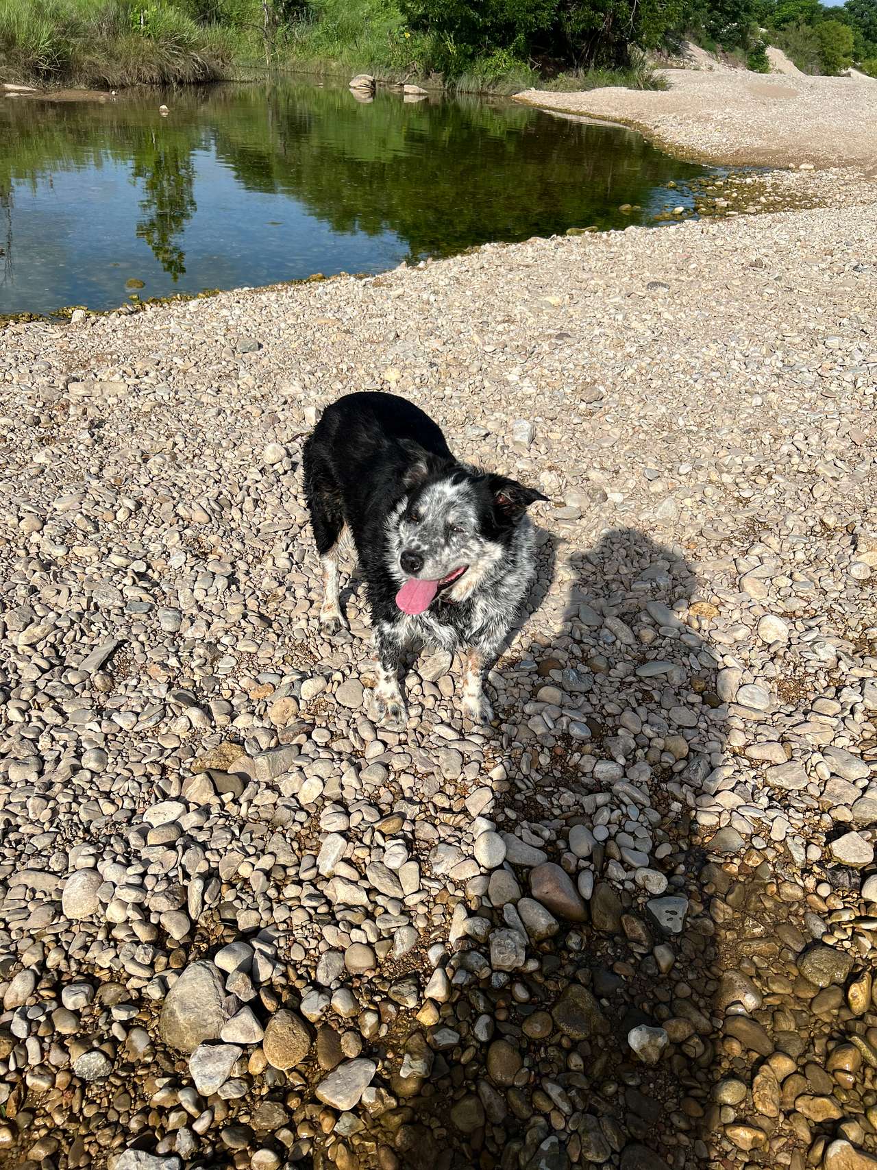 Dos Rios - Hill Country Adventure