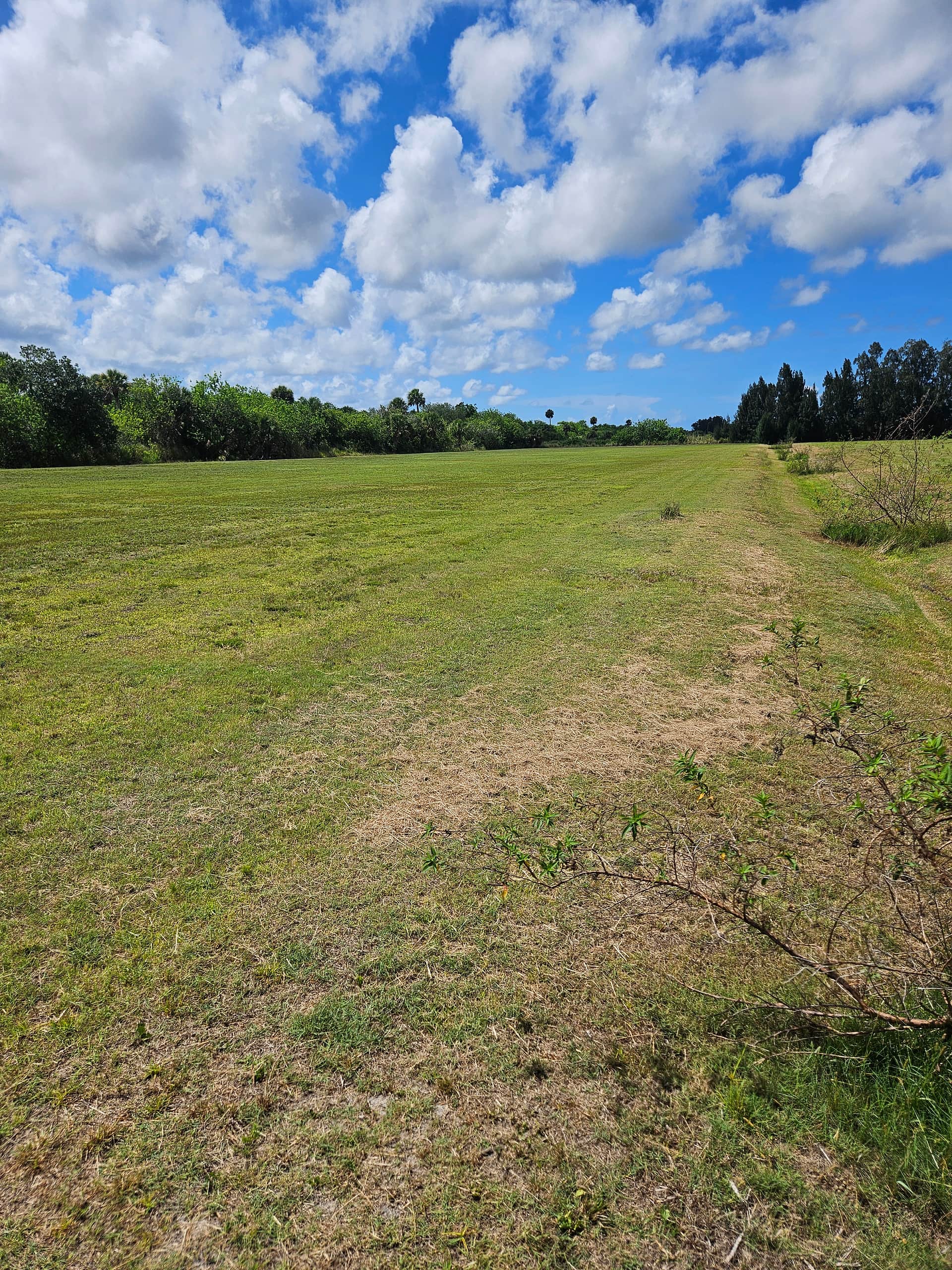 Green Acres