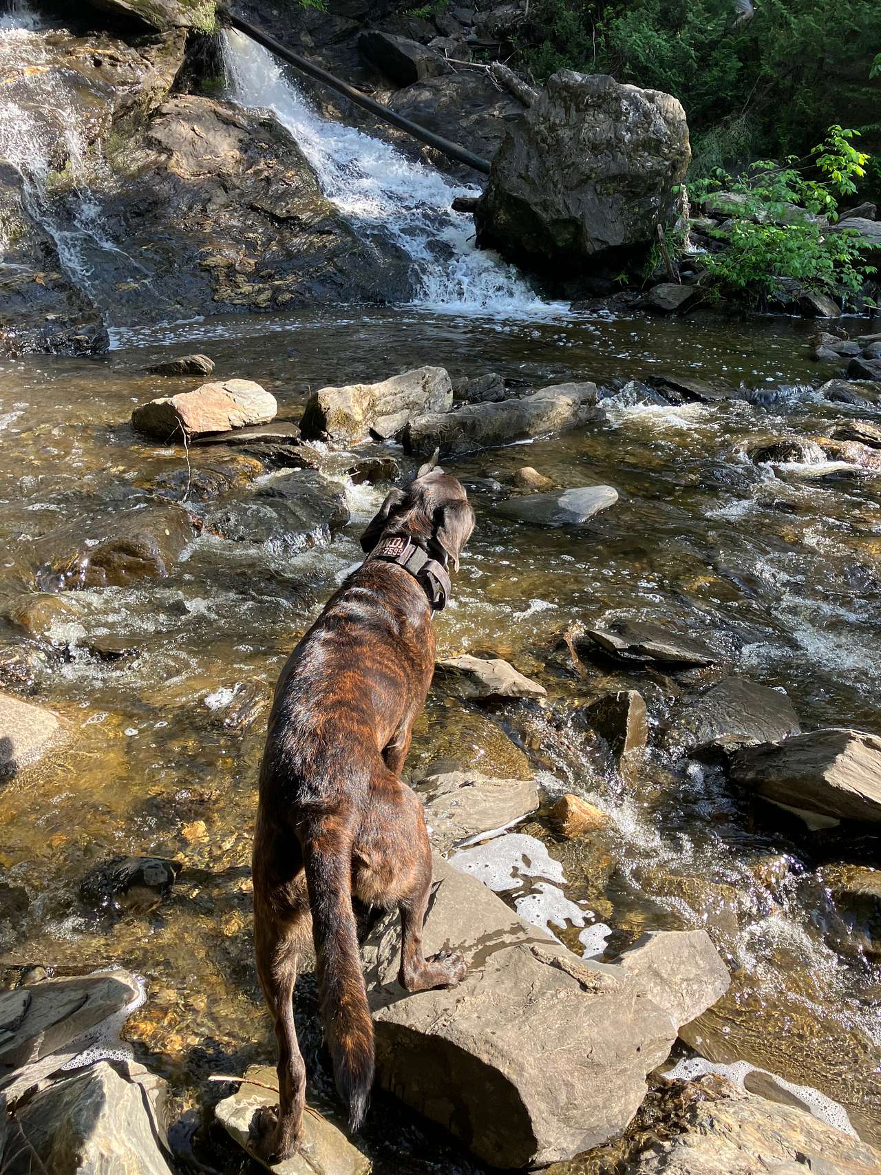 Beaver brook falls