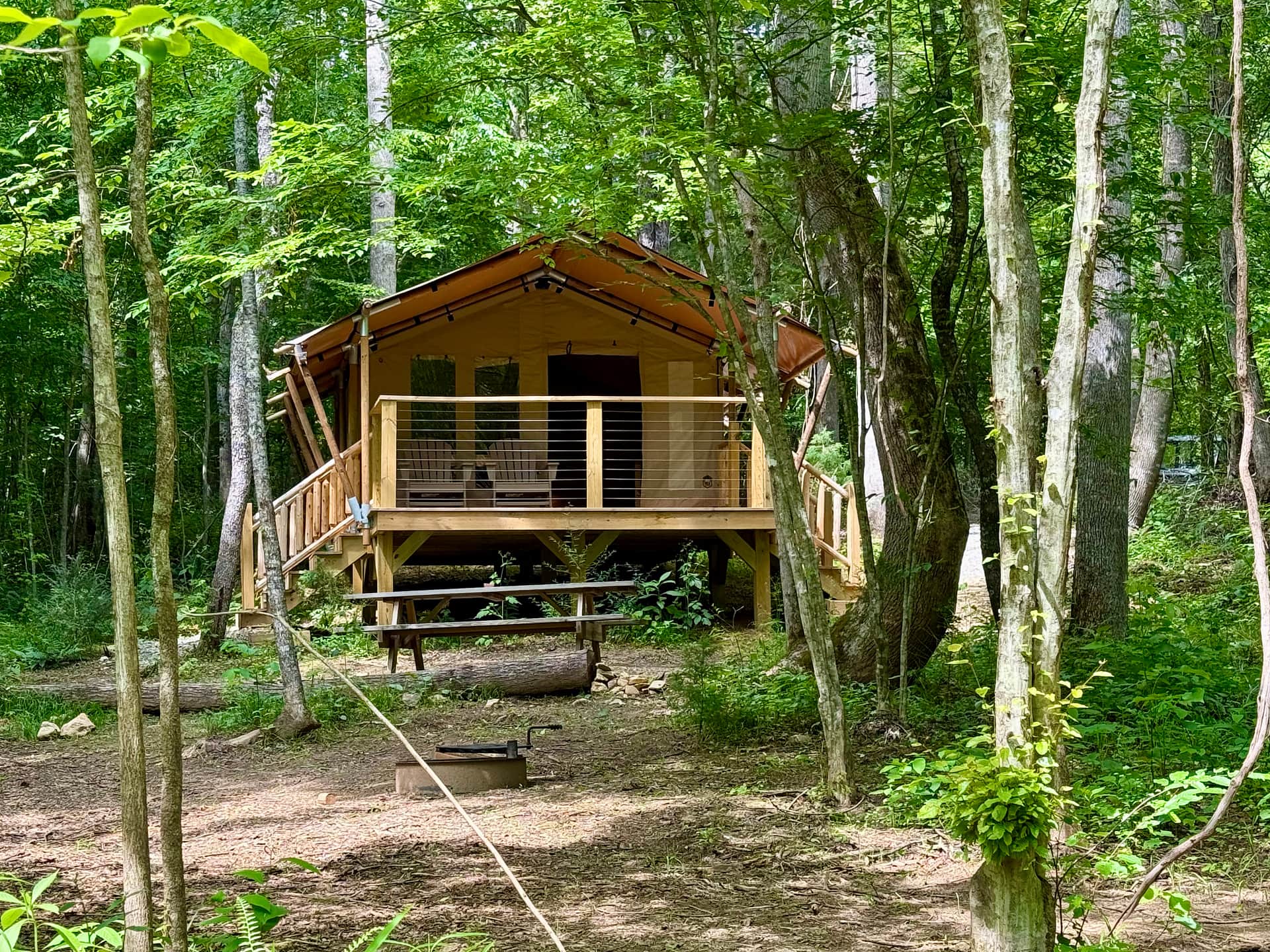 Picture of the site