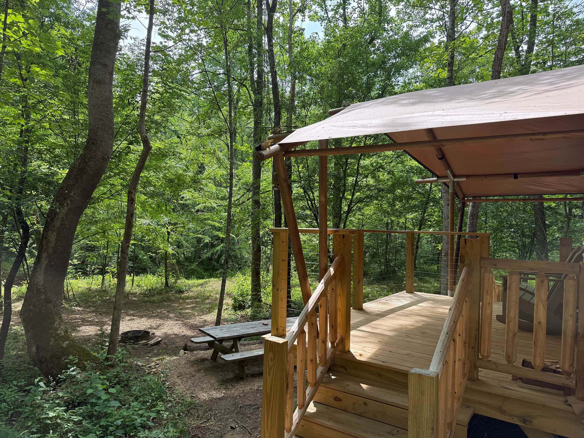 Picture of the site