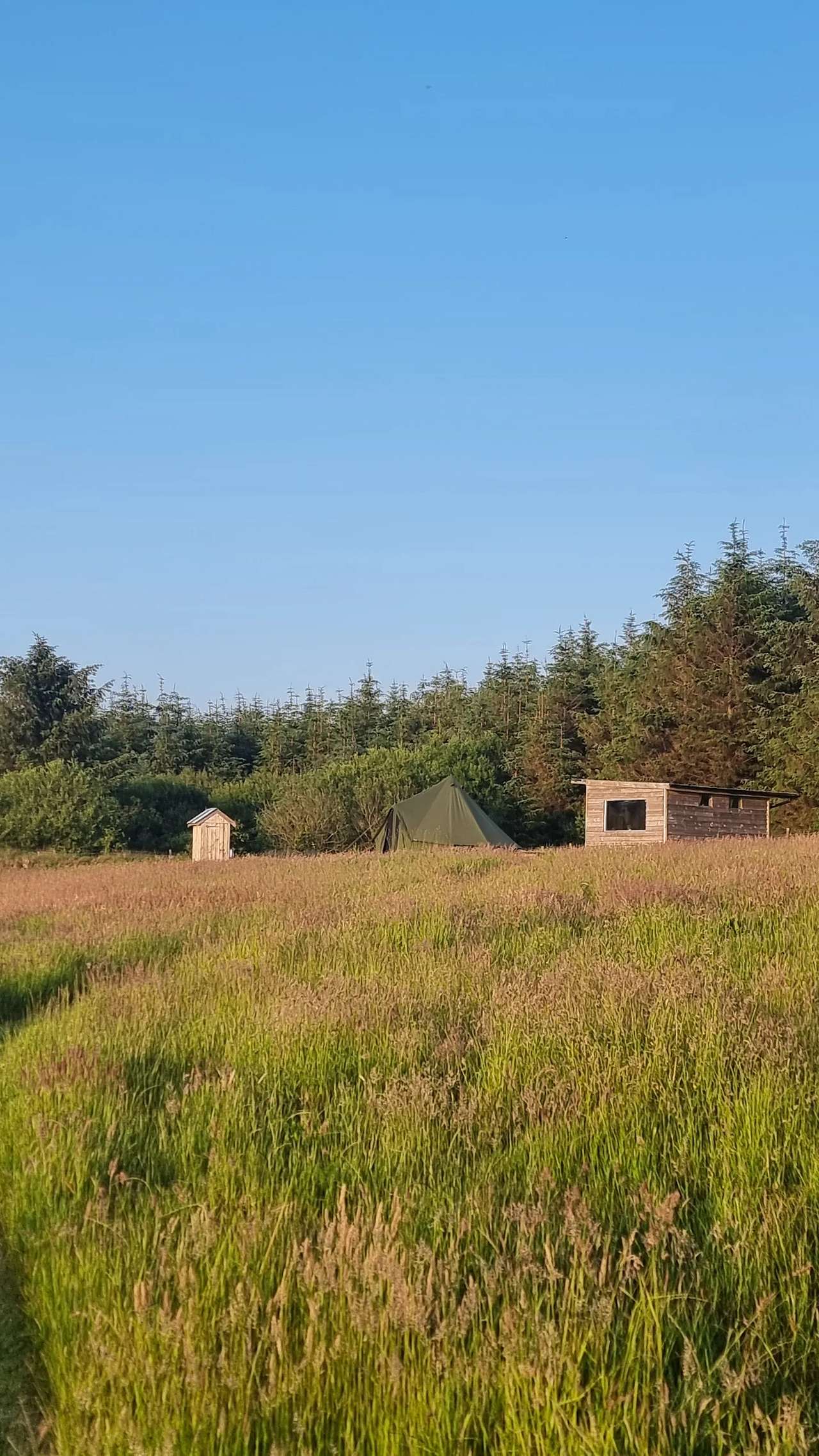 Set within a natural 4 acre meadow backed by trees. 