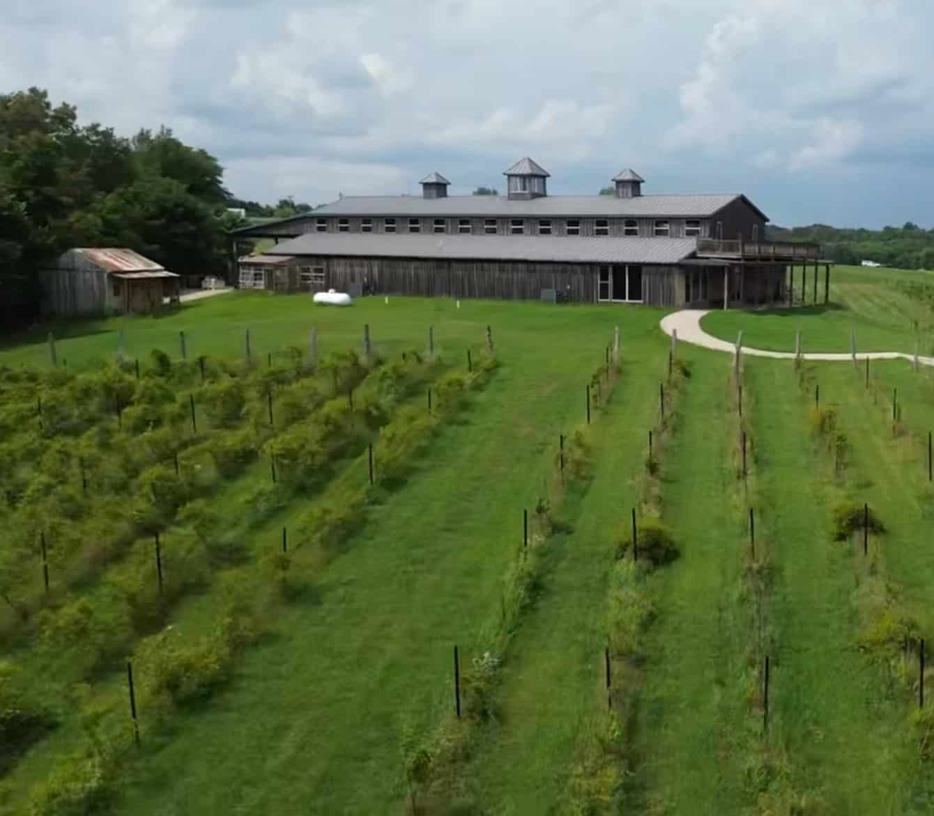 Grand Chain Vineyards