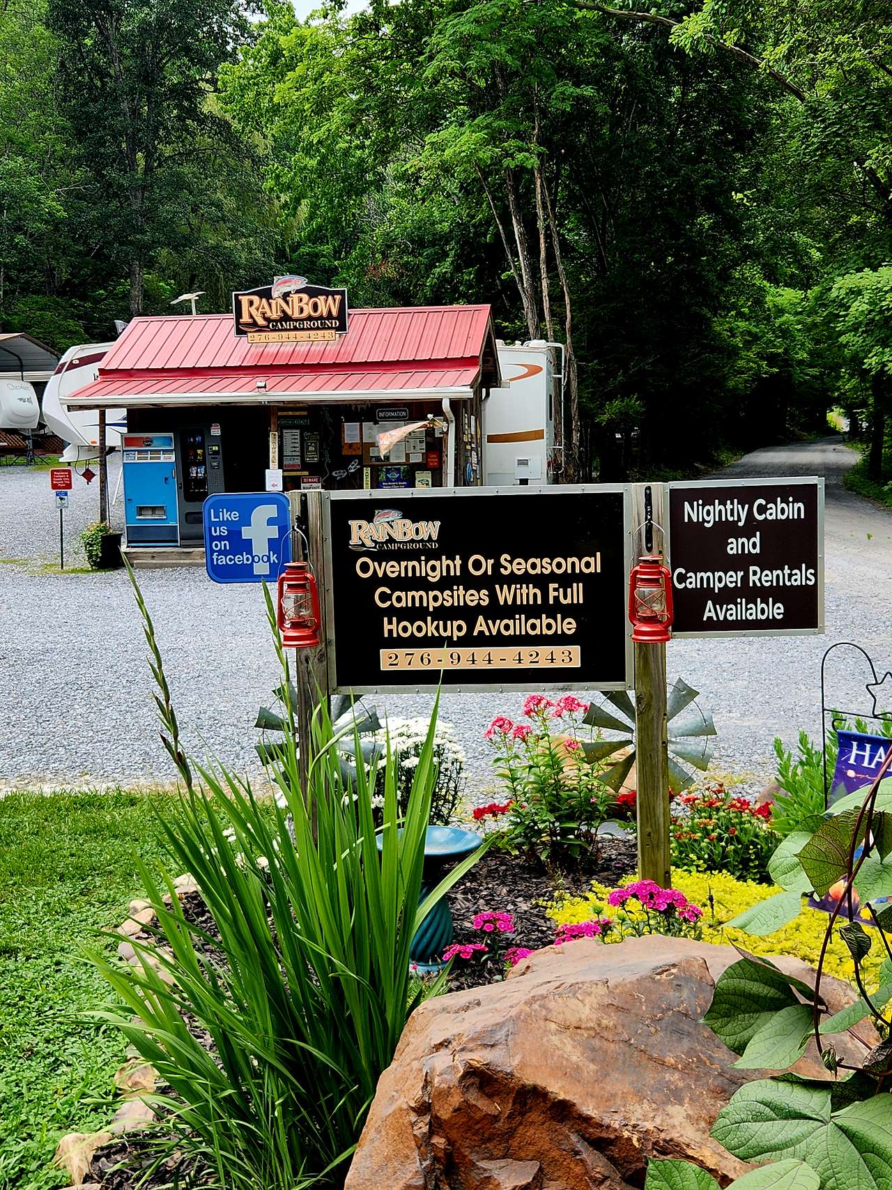 Picture of the site