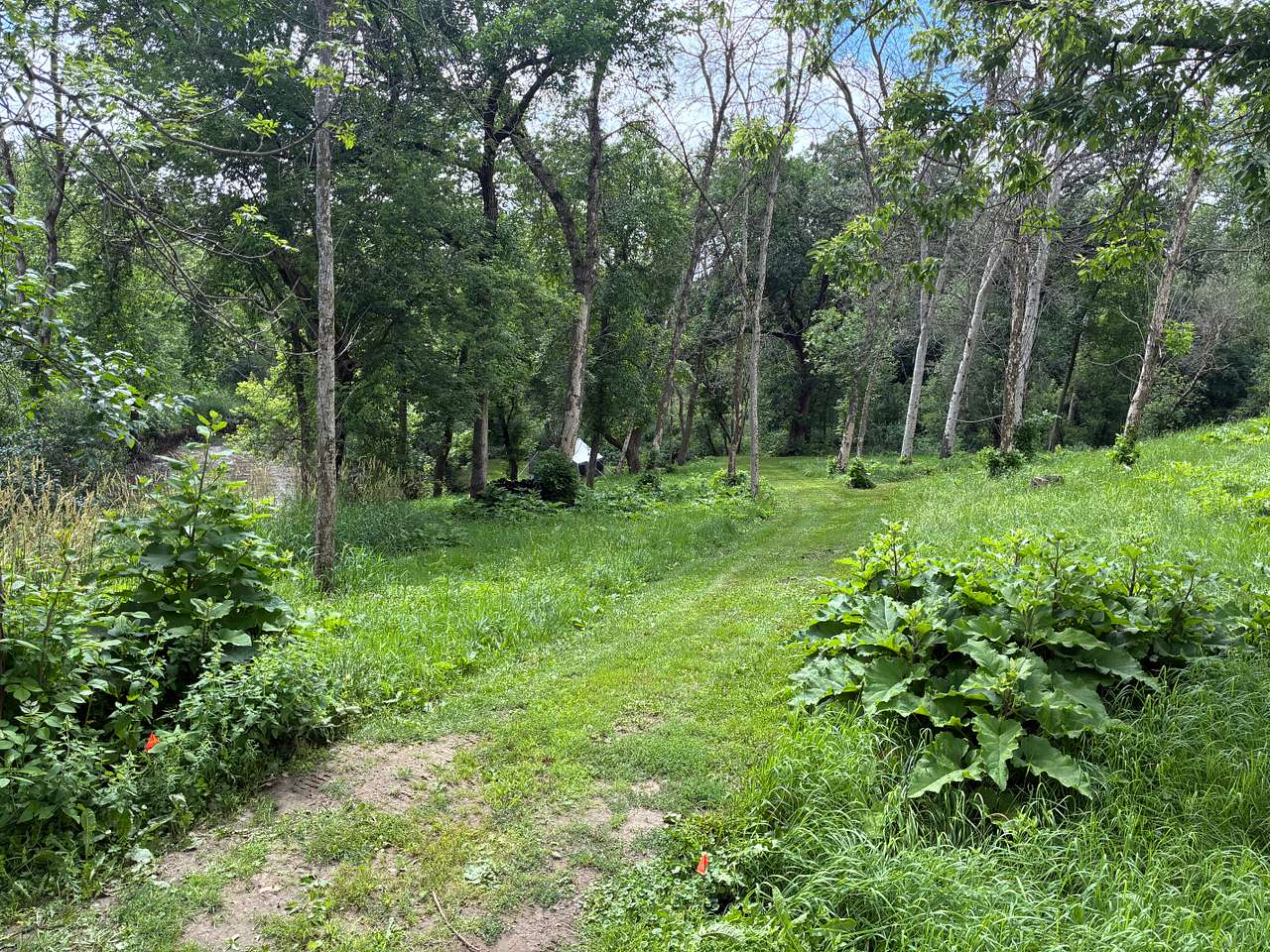 Picture of the site