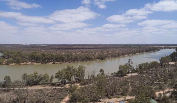 Picture of the site