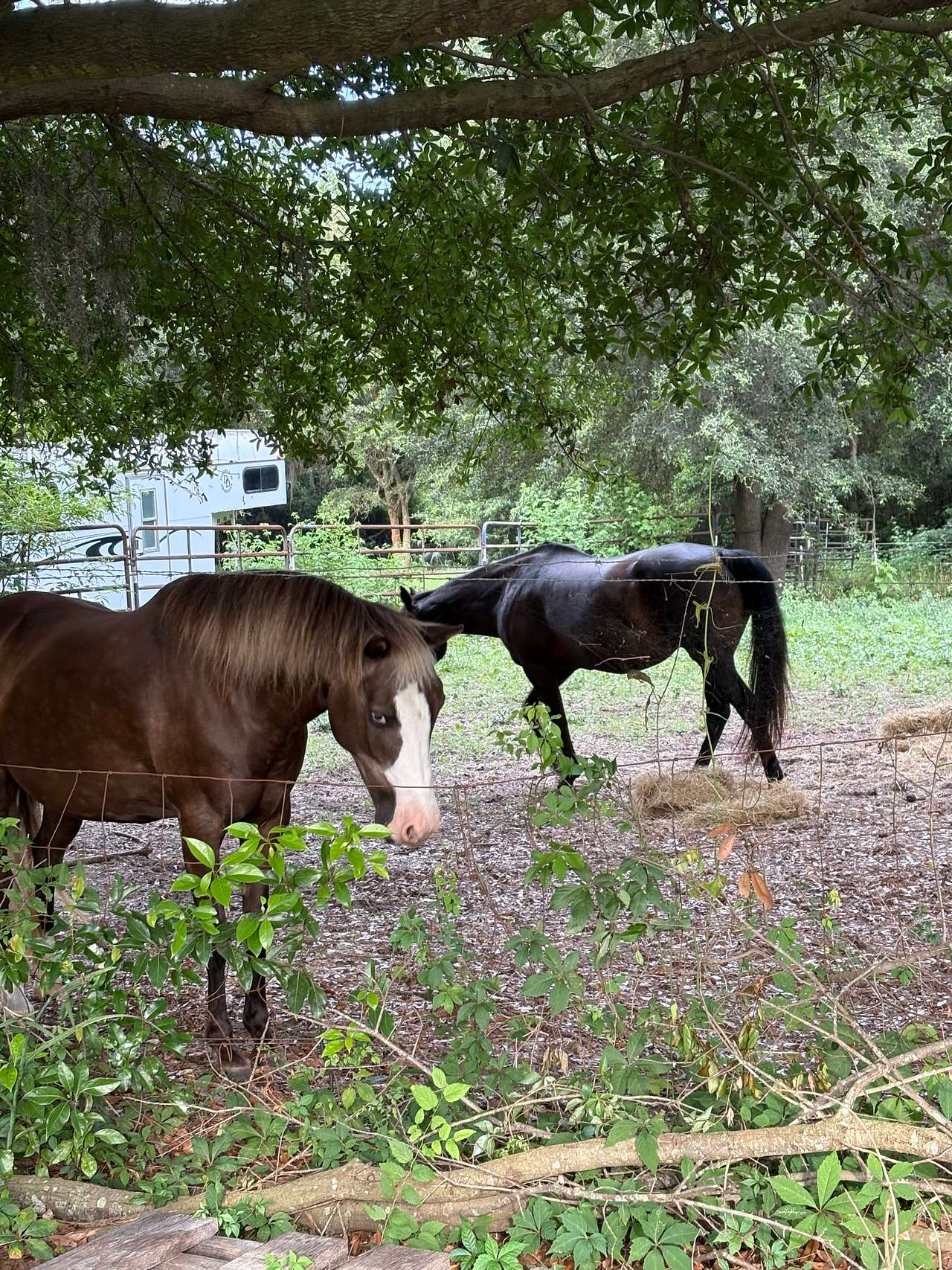 Glam Camp At The Old Dairy