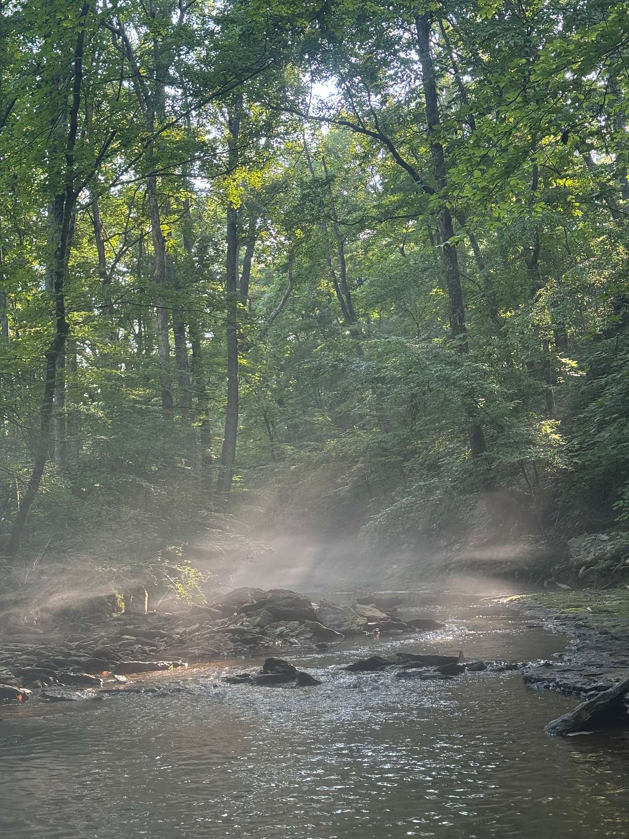 Early morning exploring the river 
