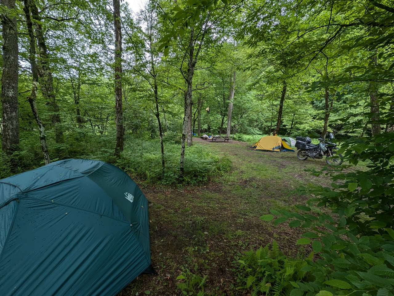 Picture of the site