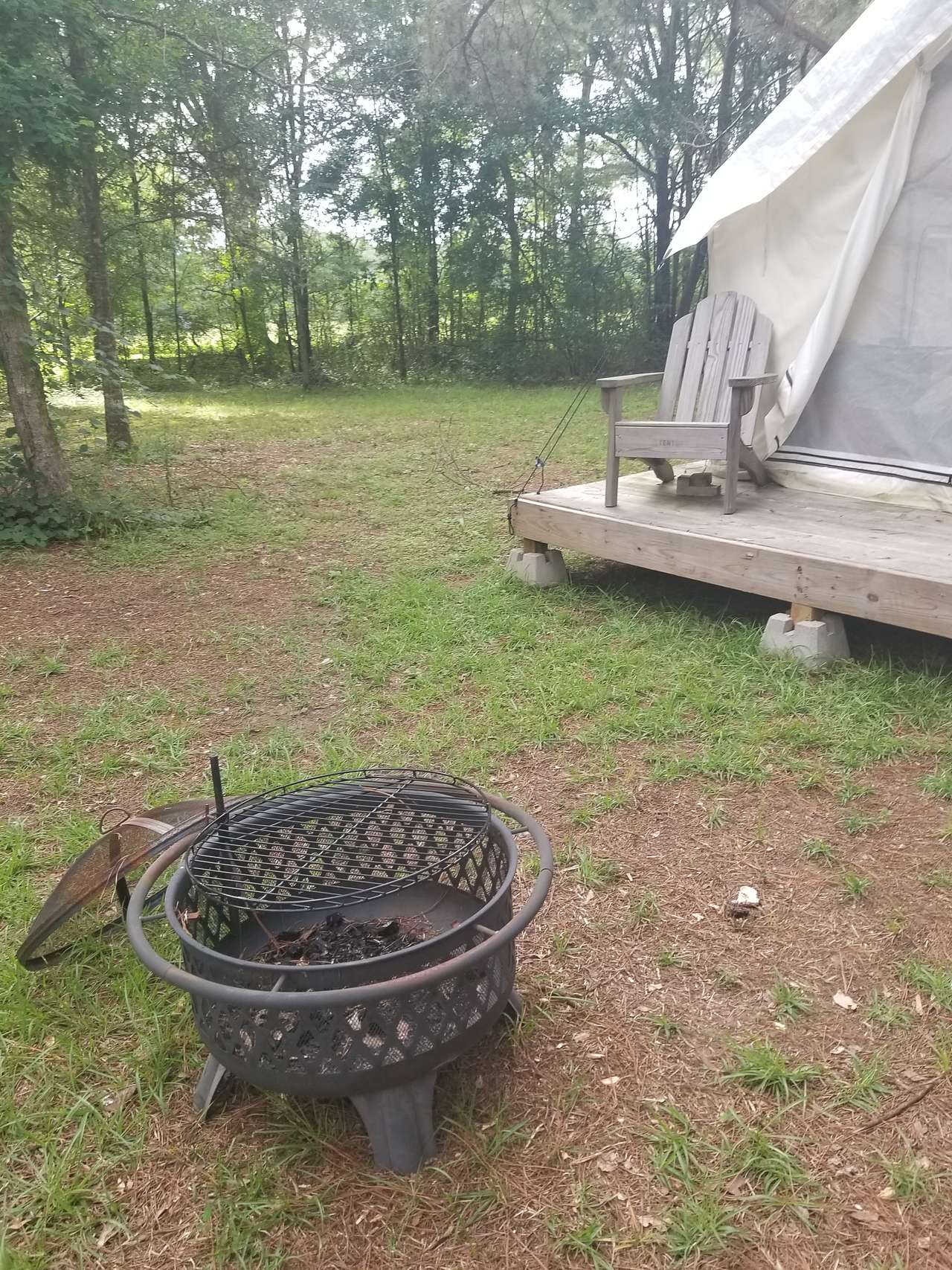Picture of the site