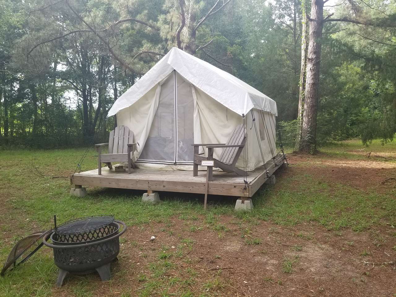 Picture of the site