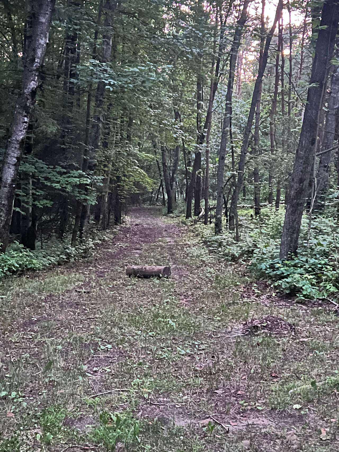 June 2025. One of the many paths to explore. 