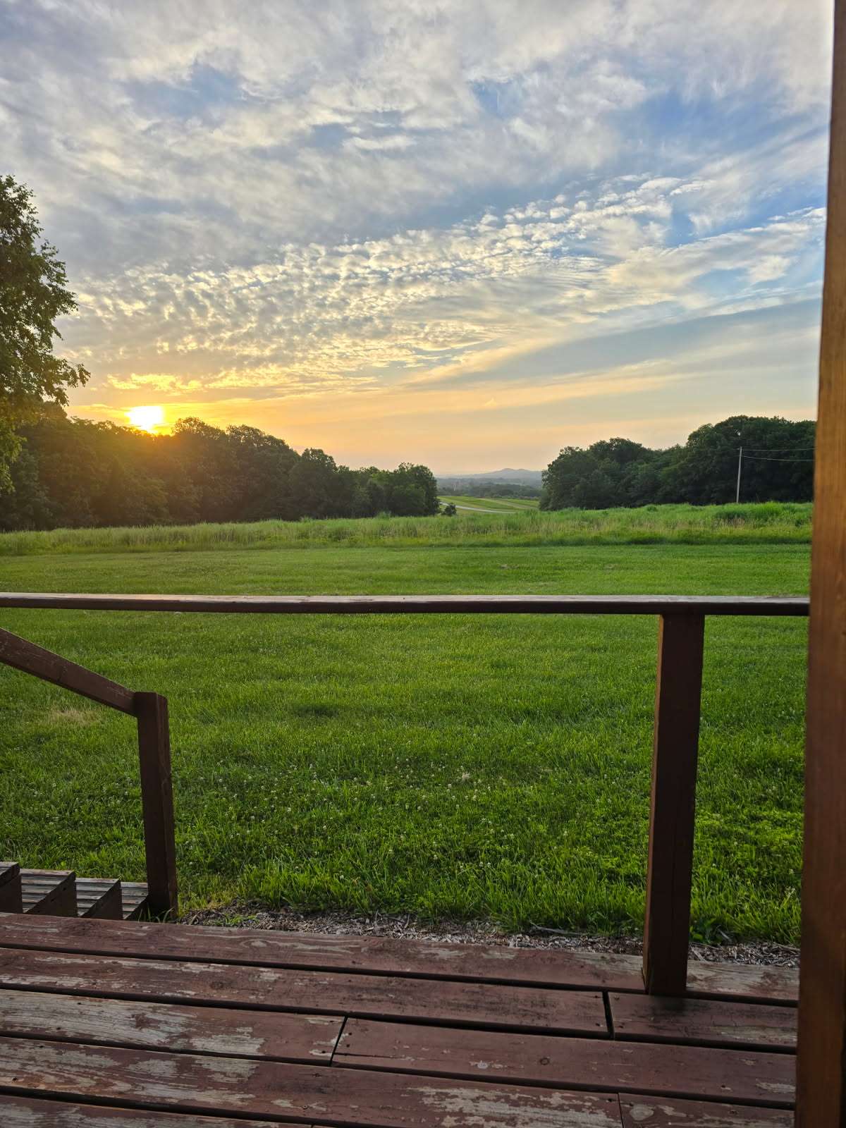 PeaceTree Farms