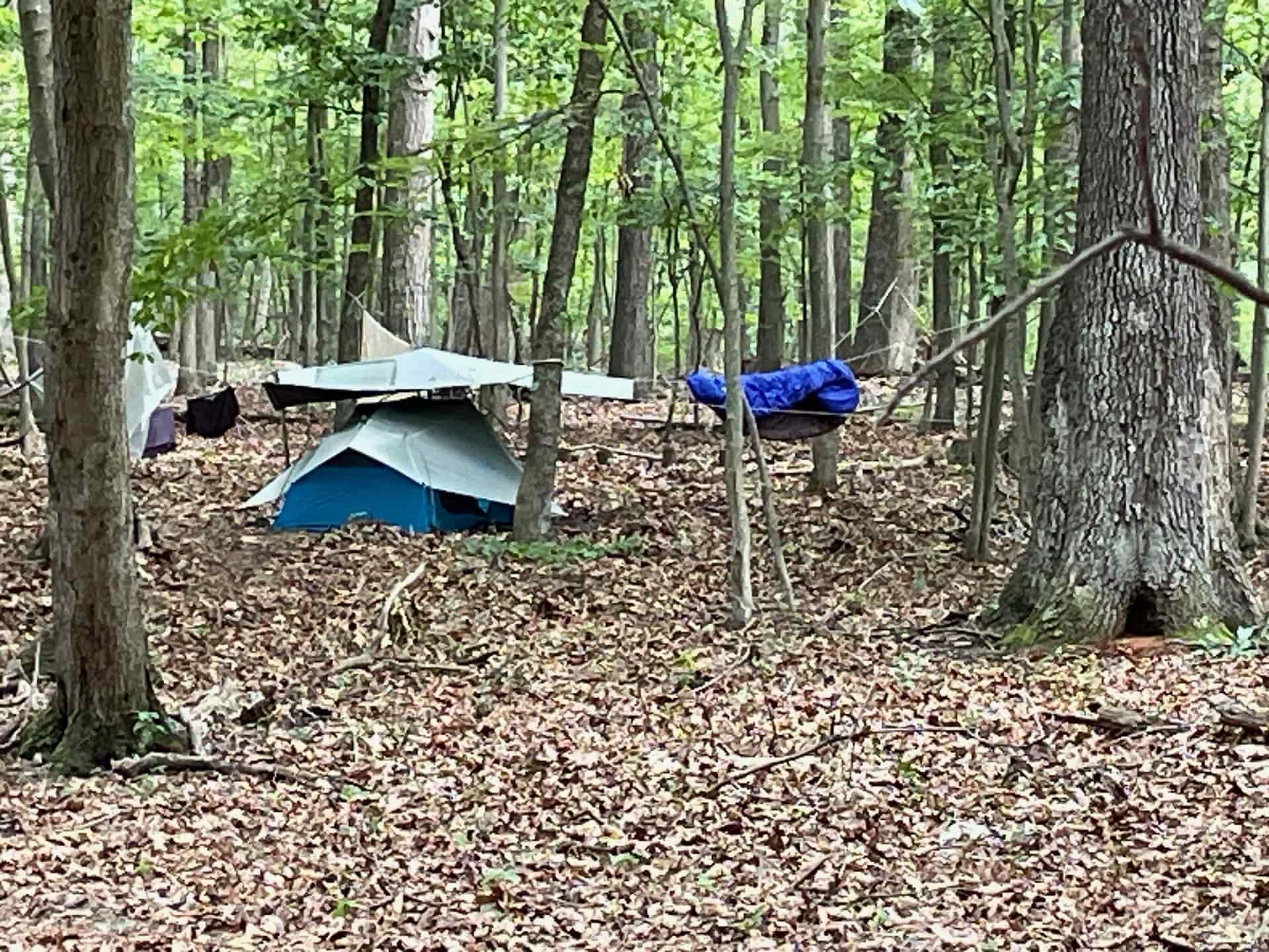 You will enjoy a tent site like this.