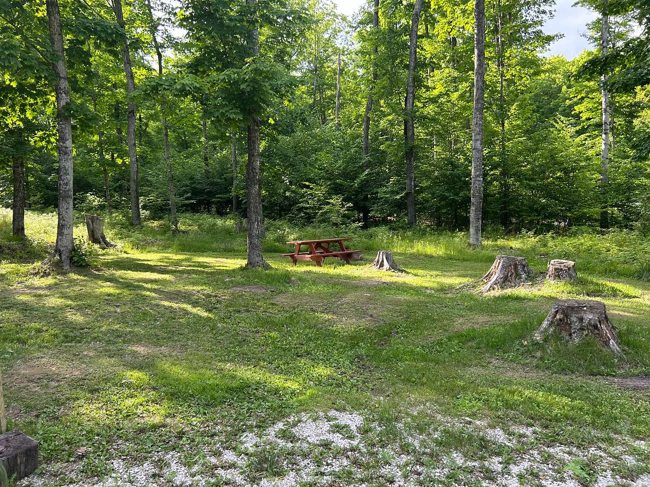 Elli's Lazy Days Resort & Campground