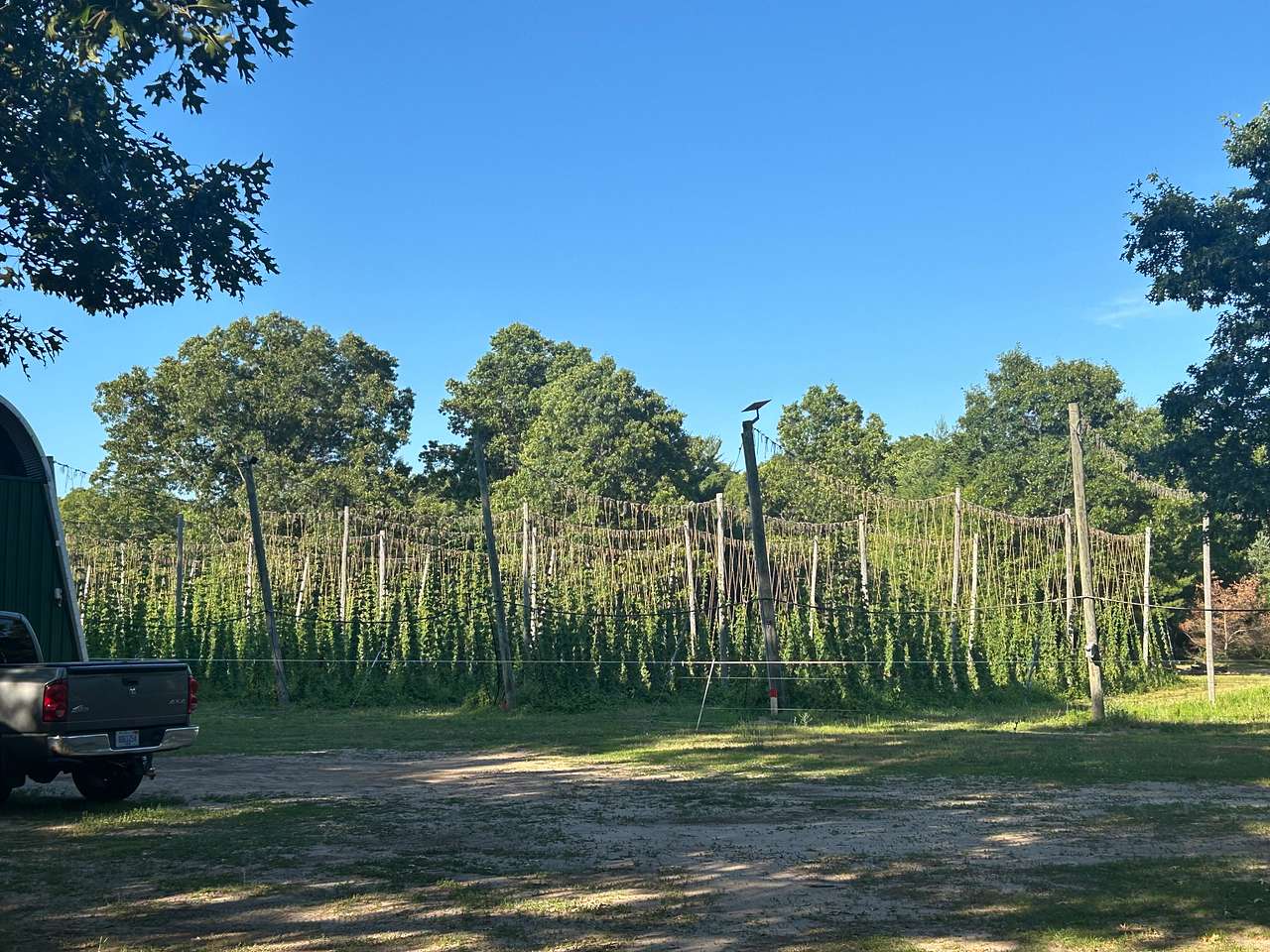 Picture of the site