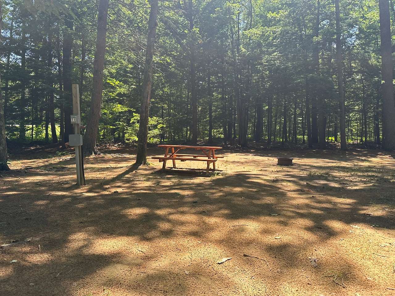 Picture of the site