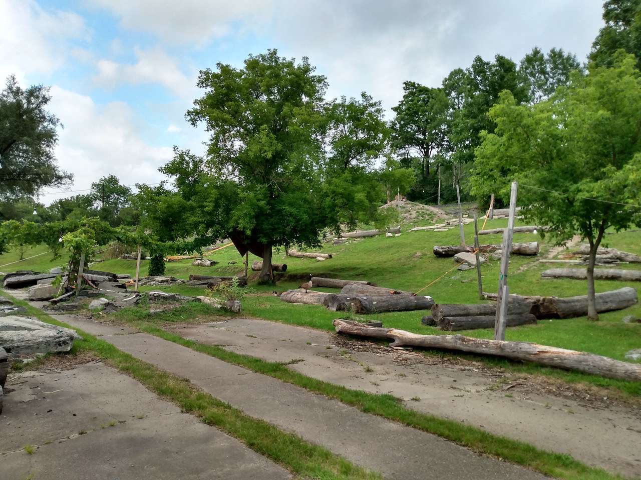 Picture of the site