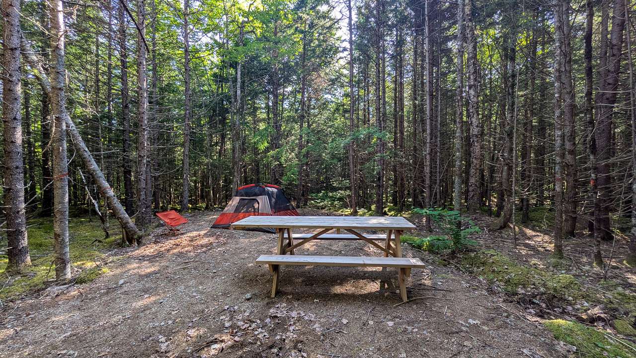 Medway Community Forest Campground