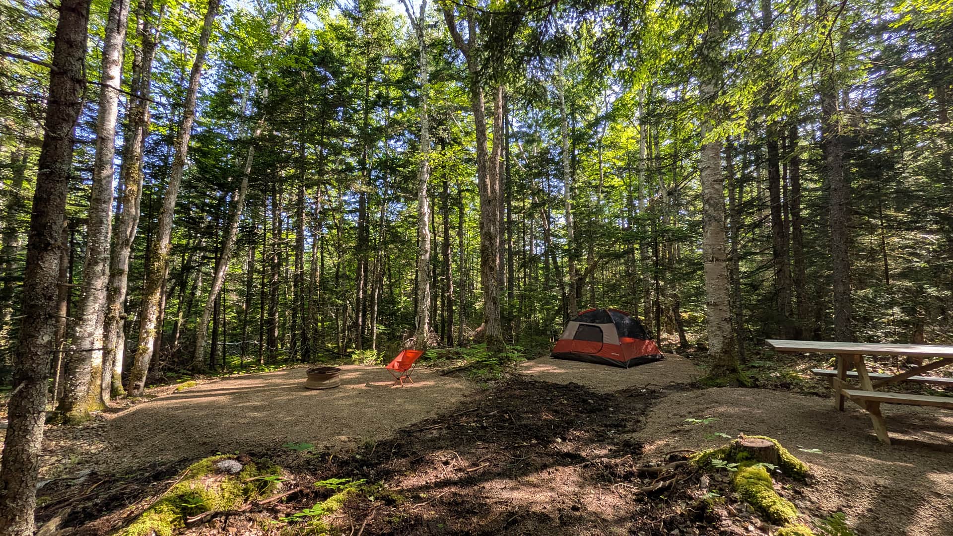 Medway Community Forest Campground