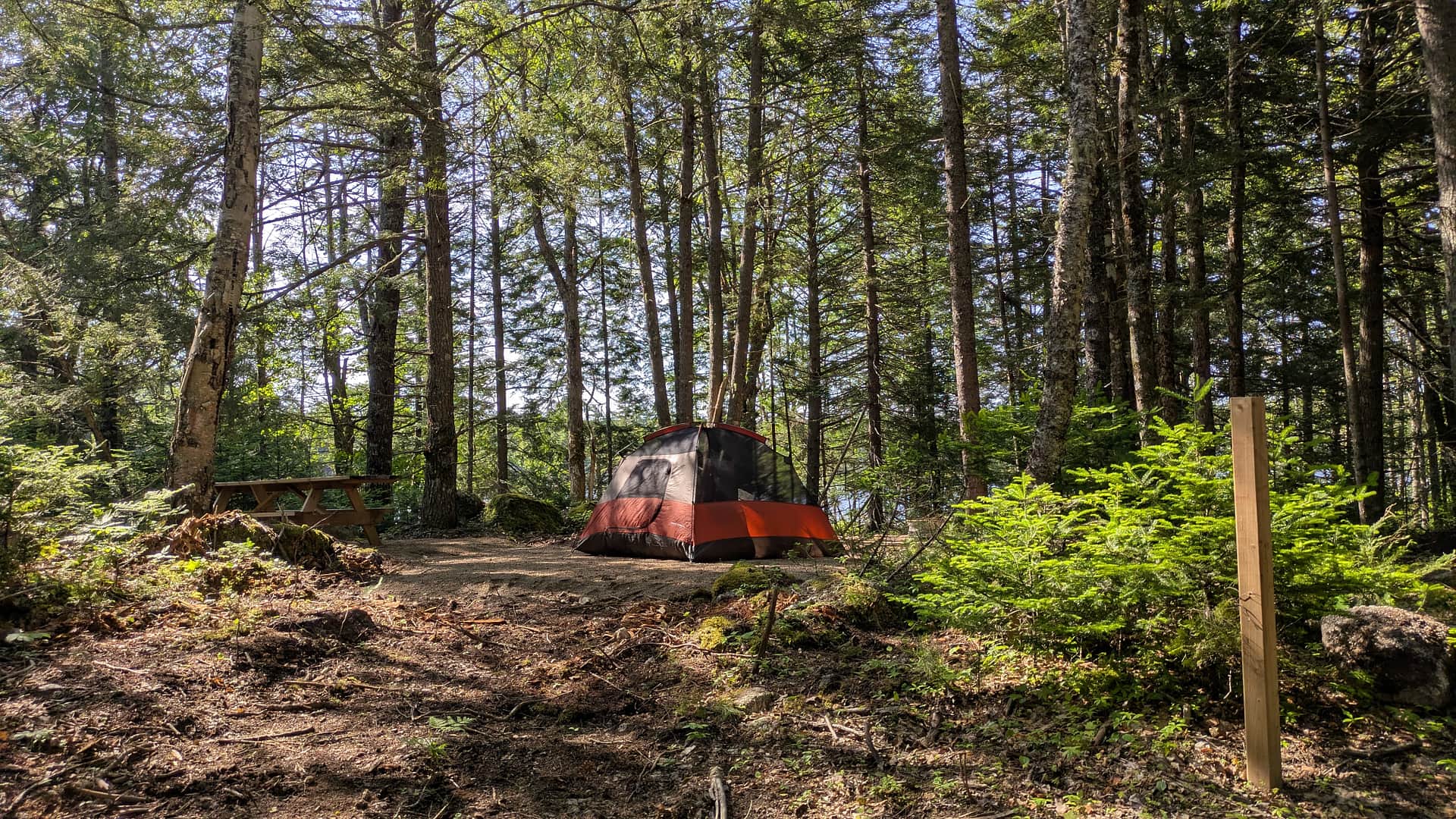 Medway Community Forest Campground