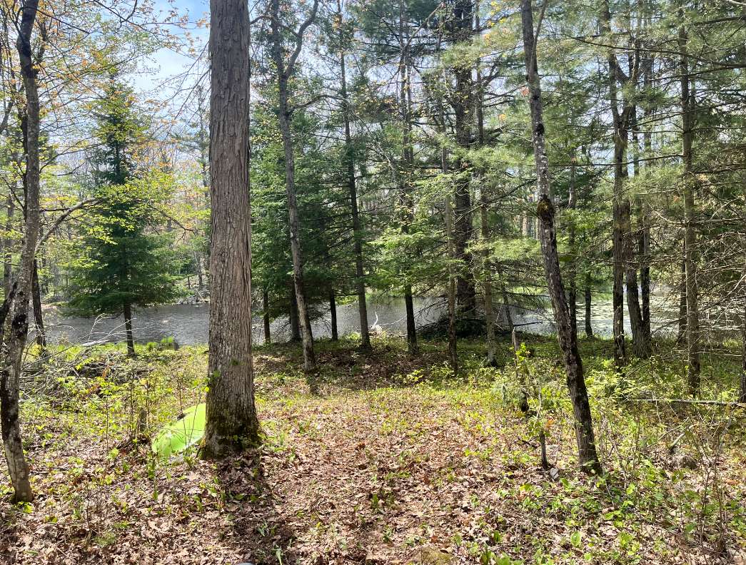 Healun Acres