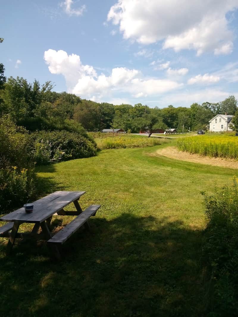 Gus's Gardens
