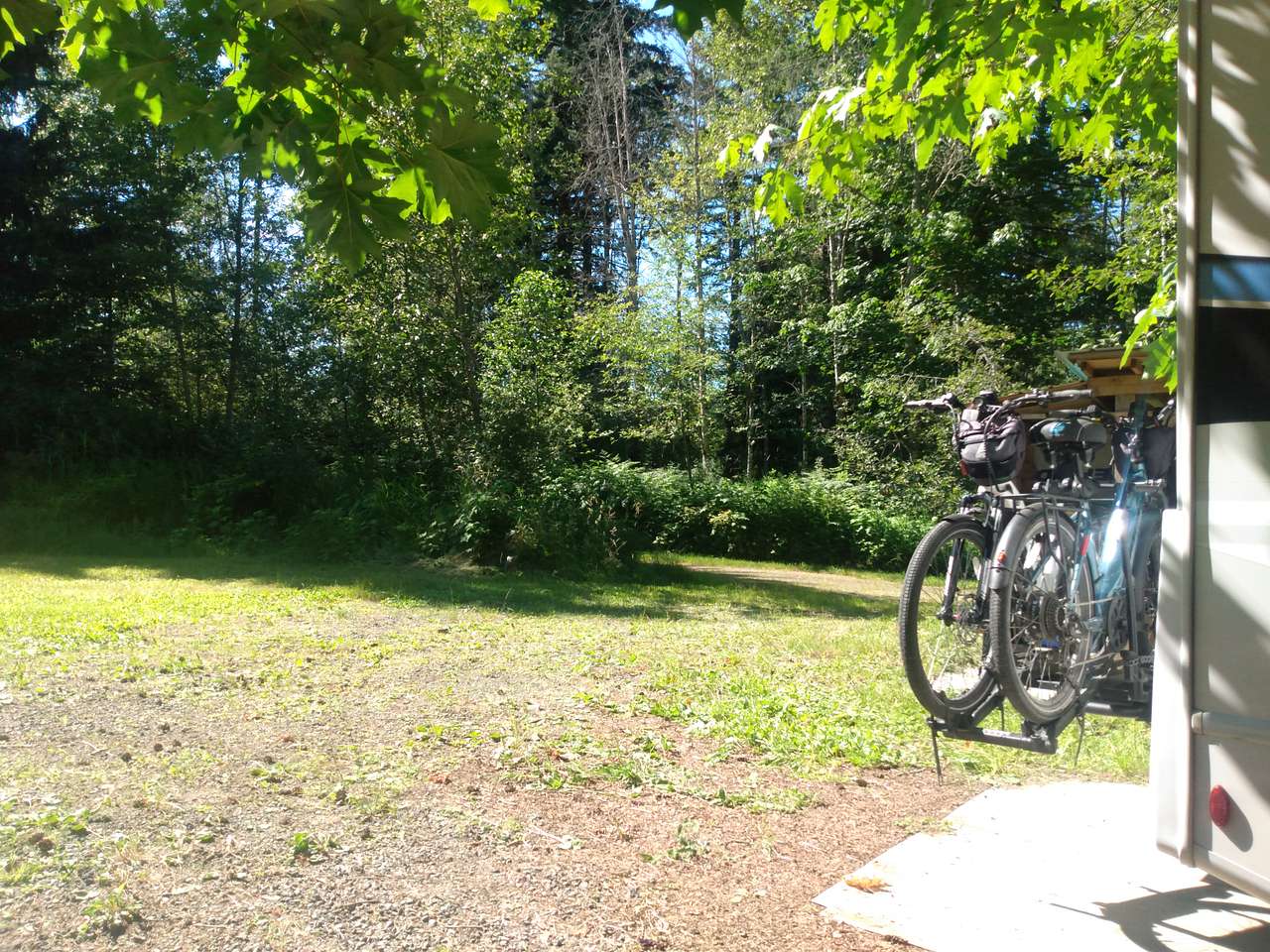 This hot day we tucked under the maple tree