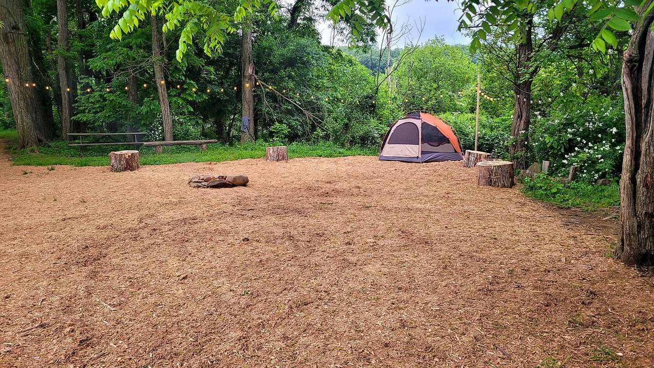 Picture of the site