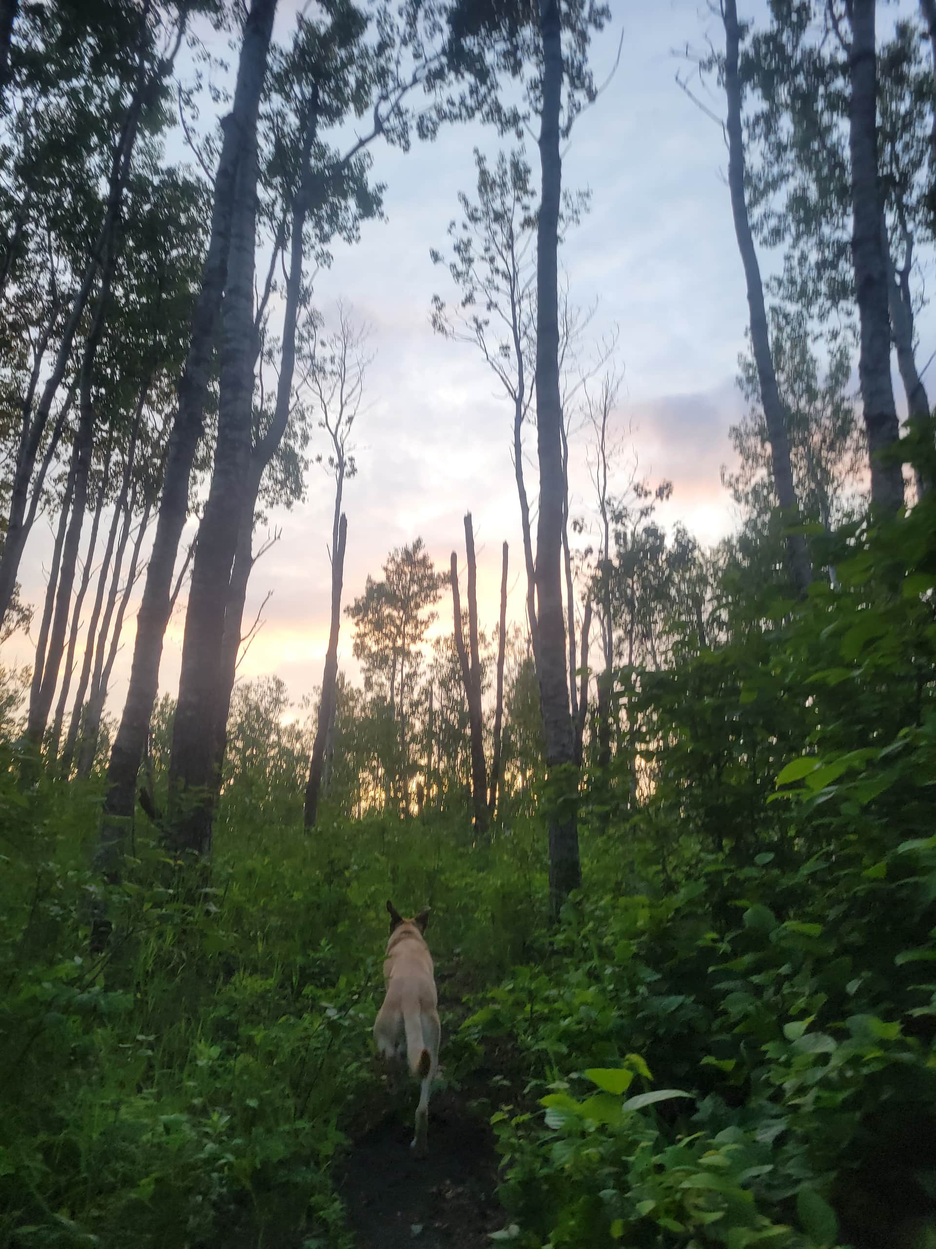 Sturgeon River Ranch