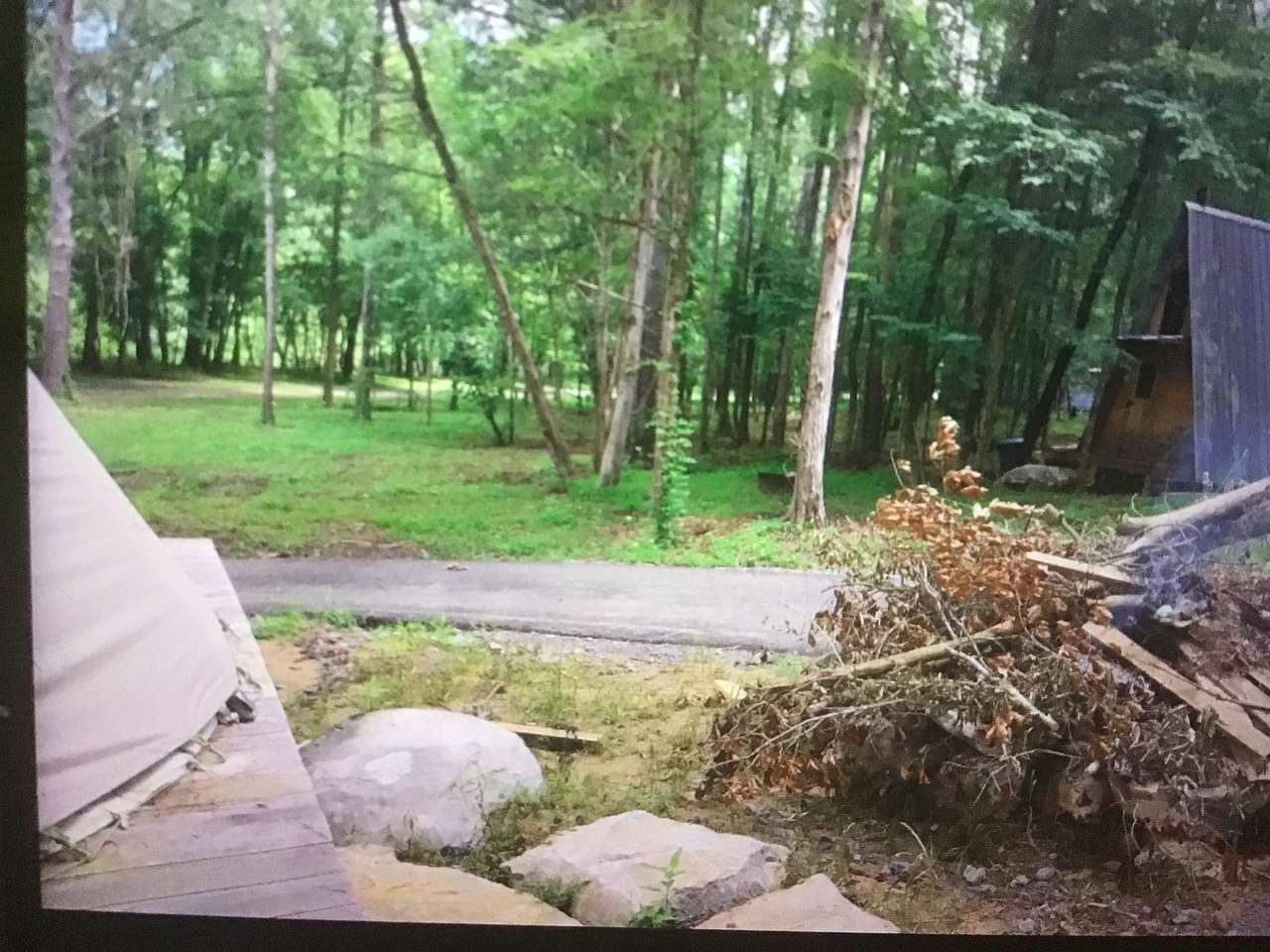 Picture of the site