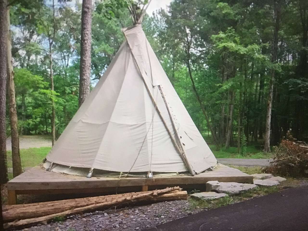 Picture of the site