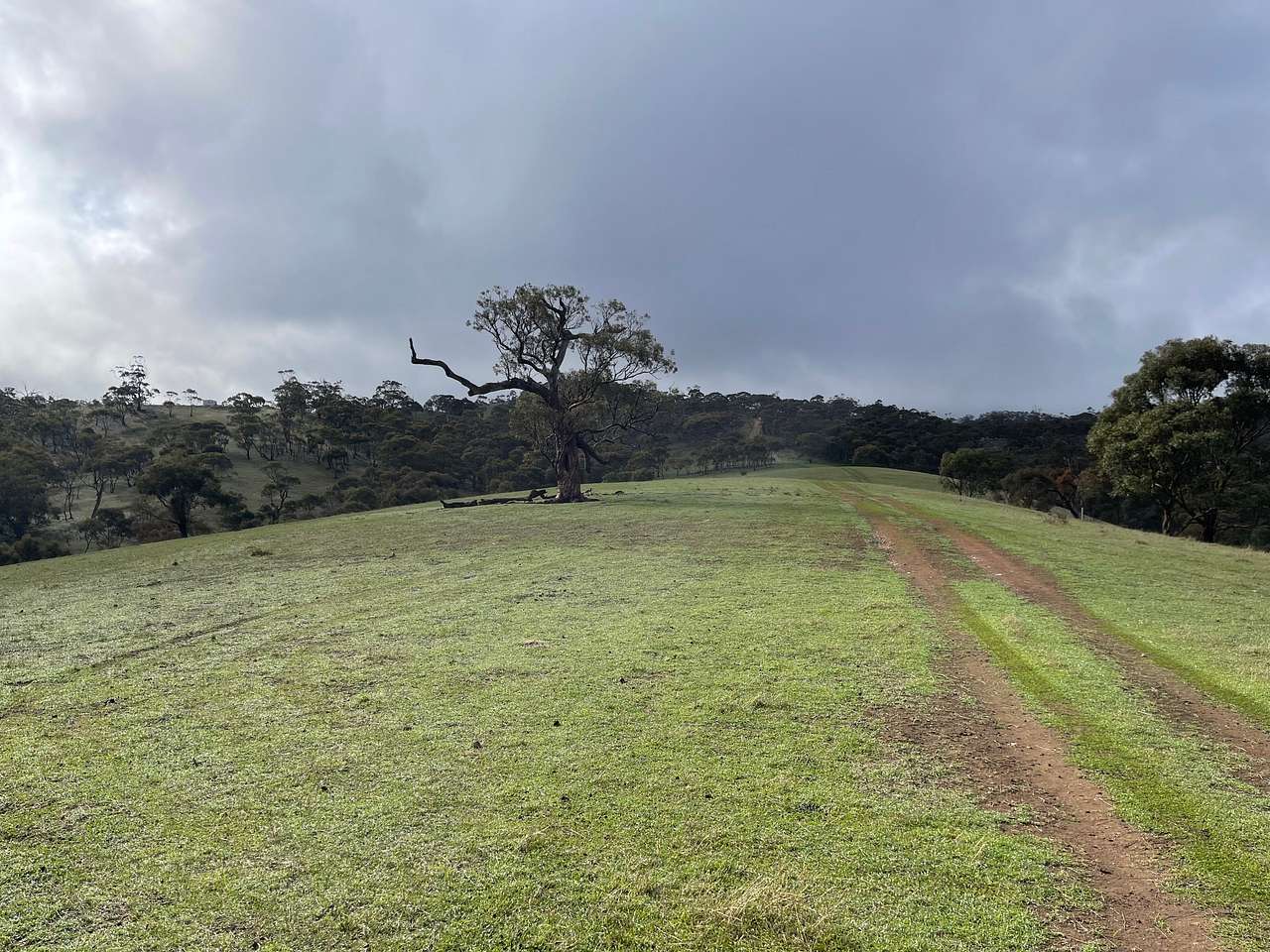 Nice flat areas for vans, tents, campers 