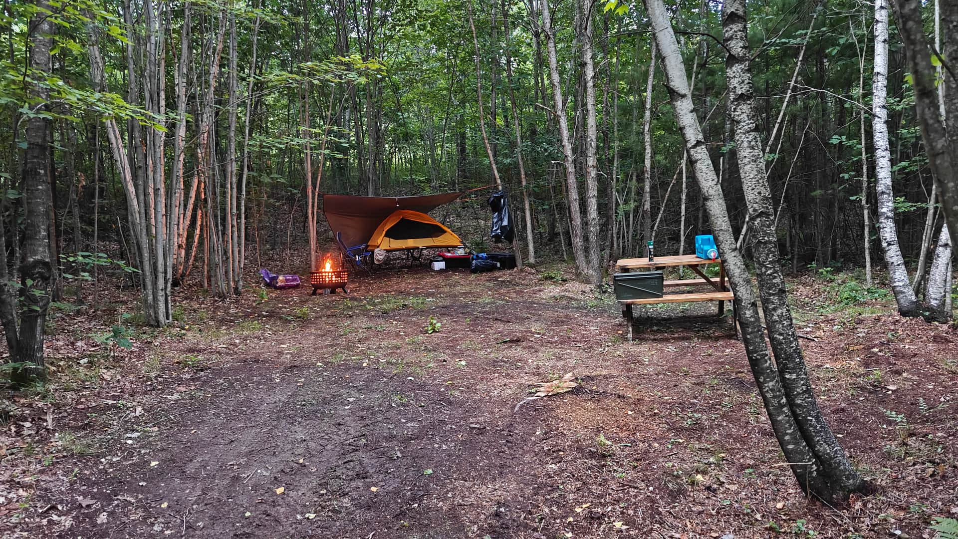 Picture of the site