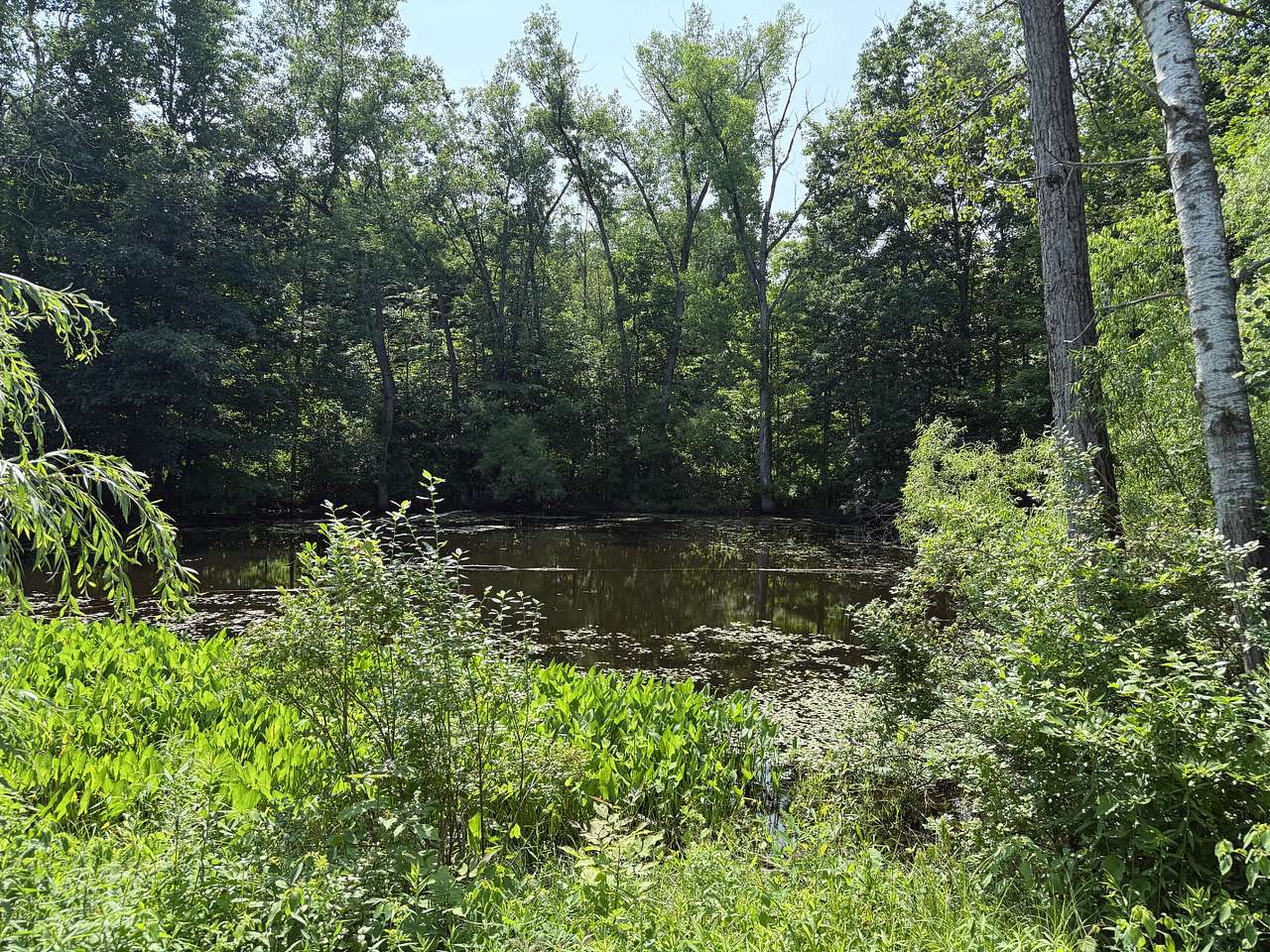High Falls Farm