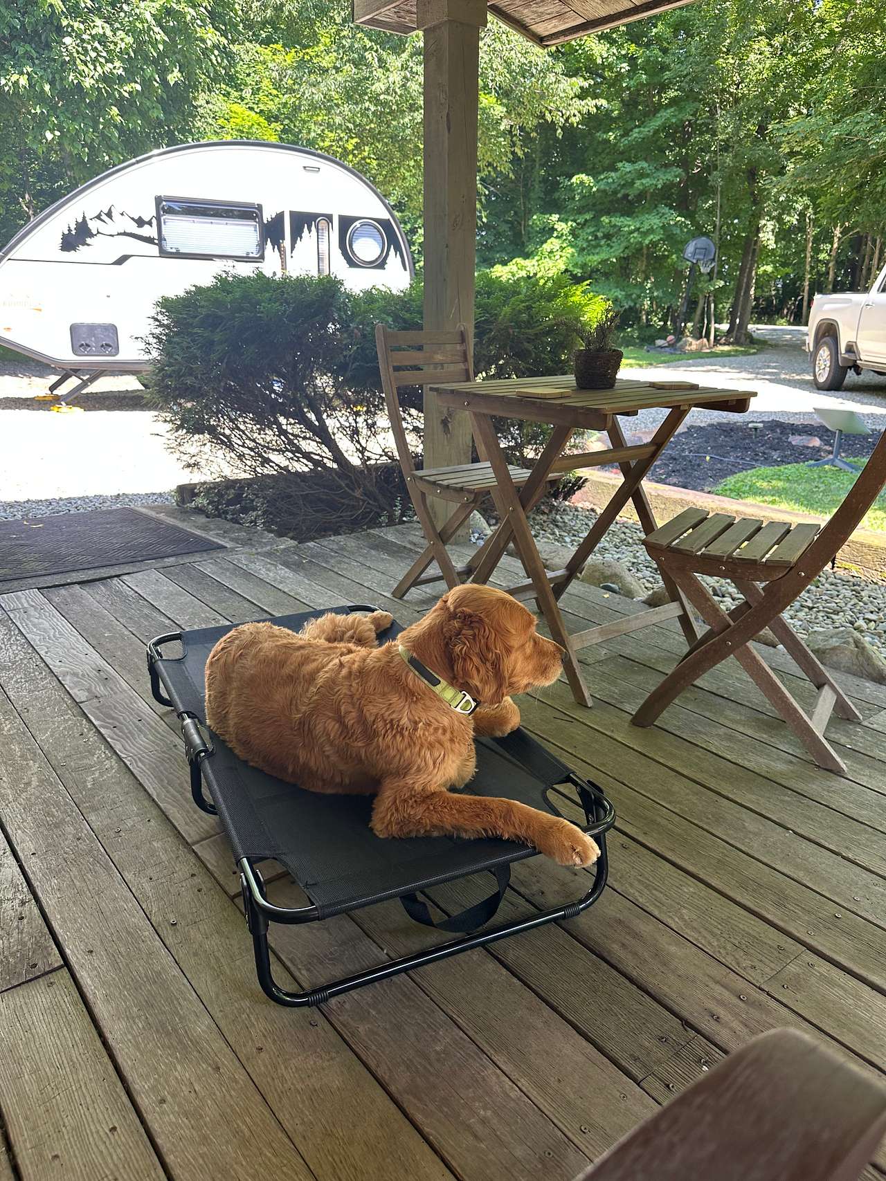Cabin and Company (RV site only)