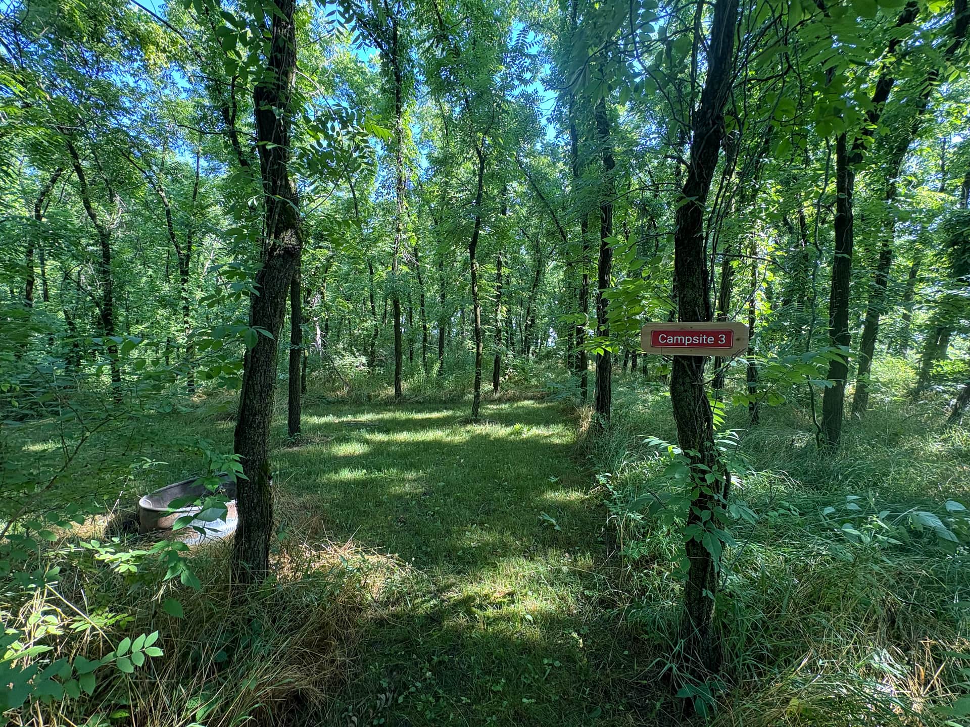 Picture of the site