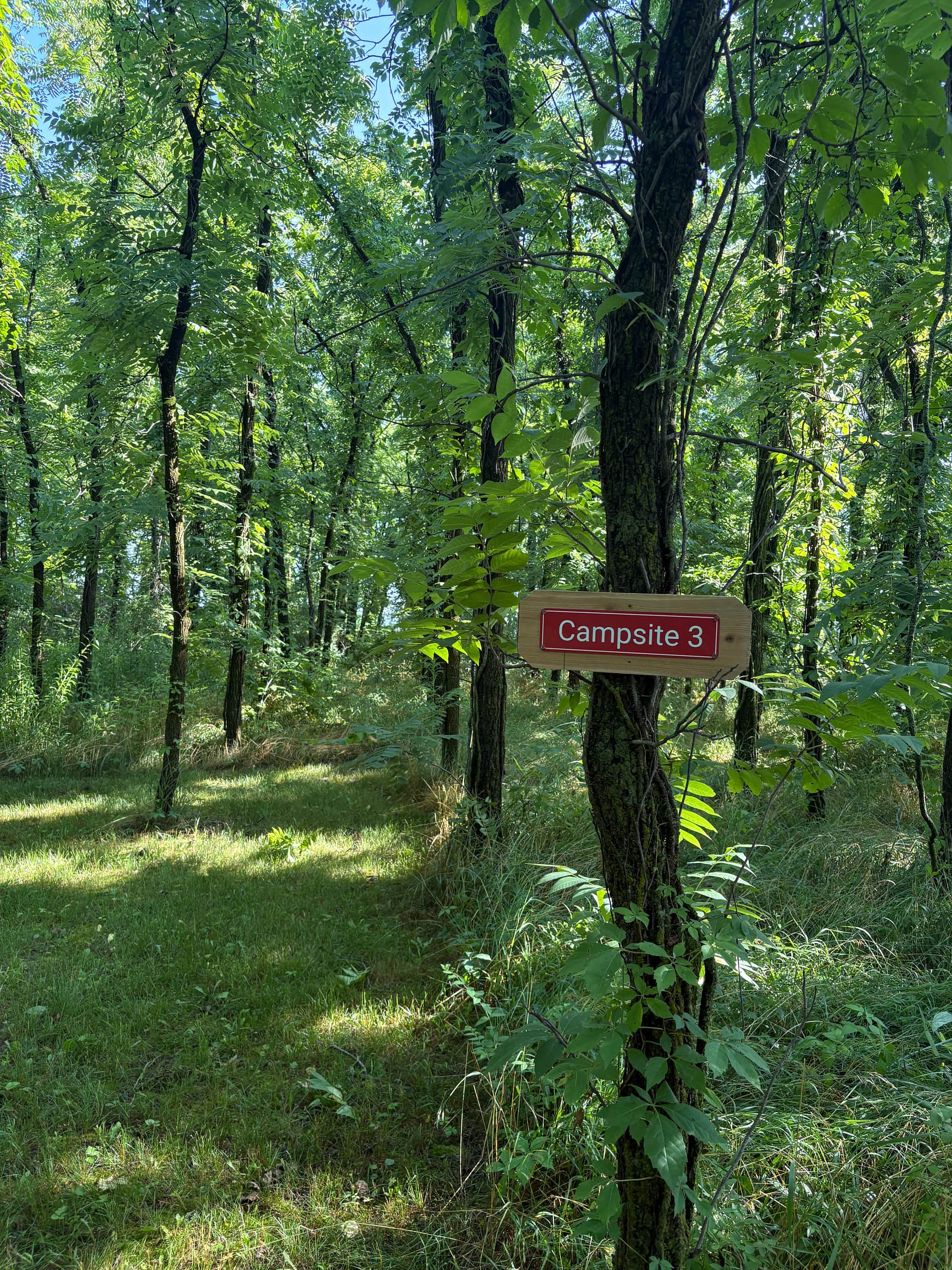 Picture of the site