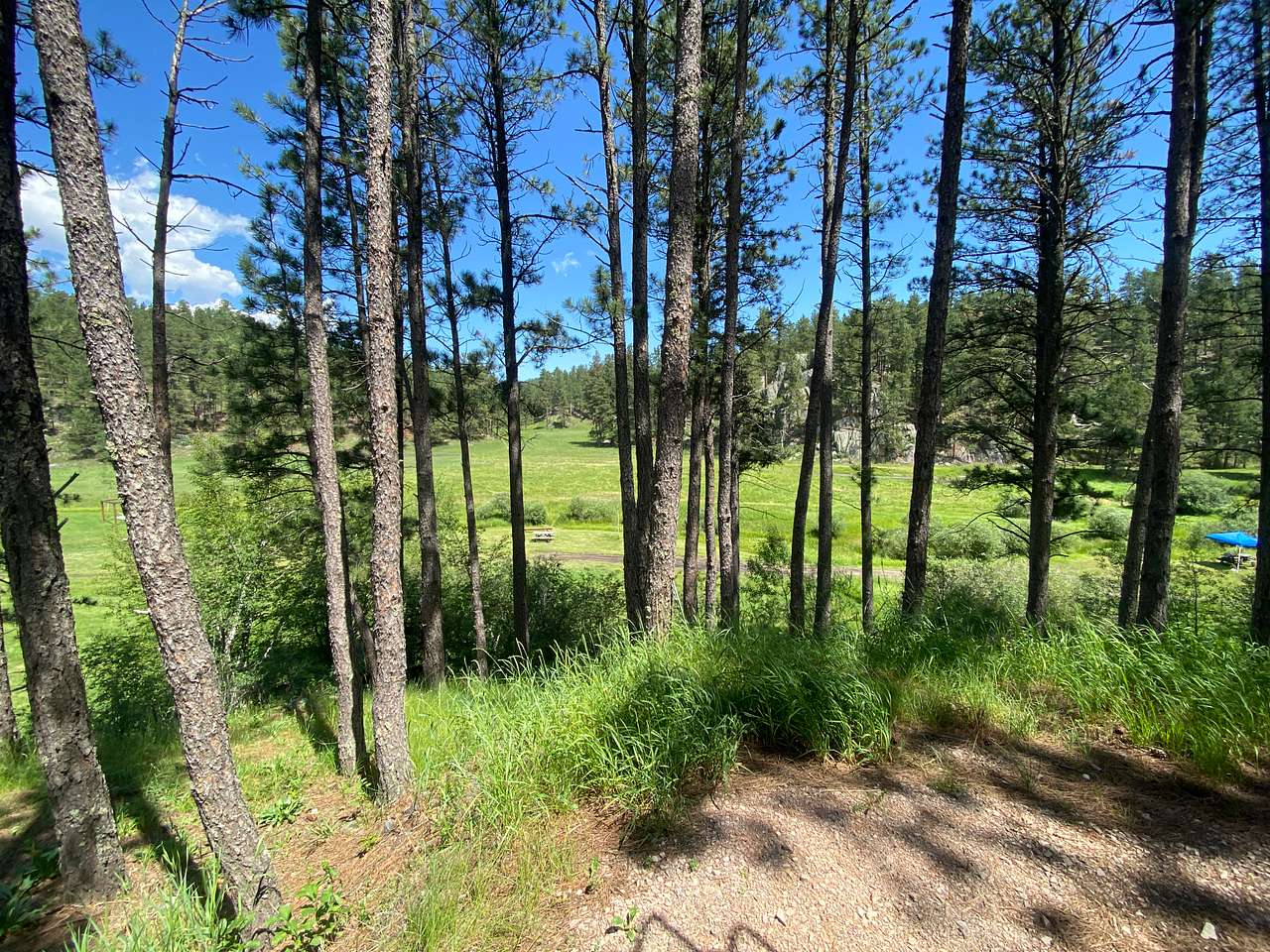 Picture of the site