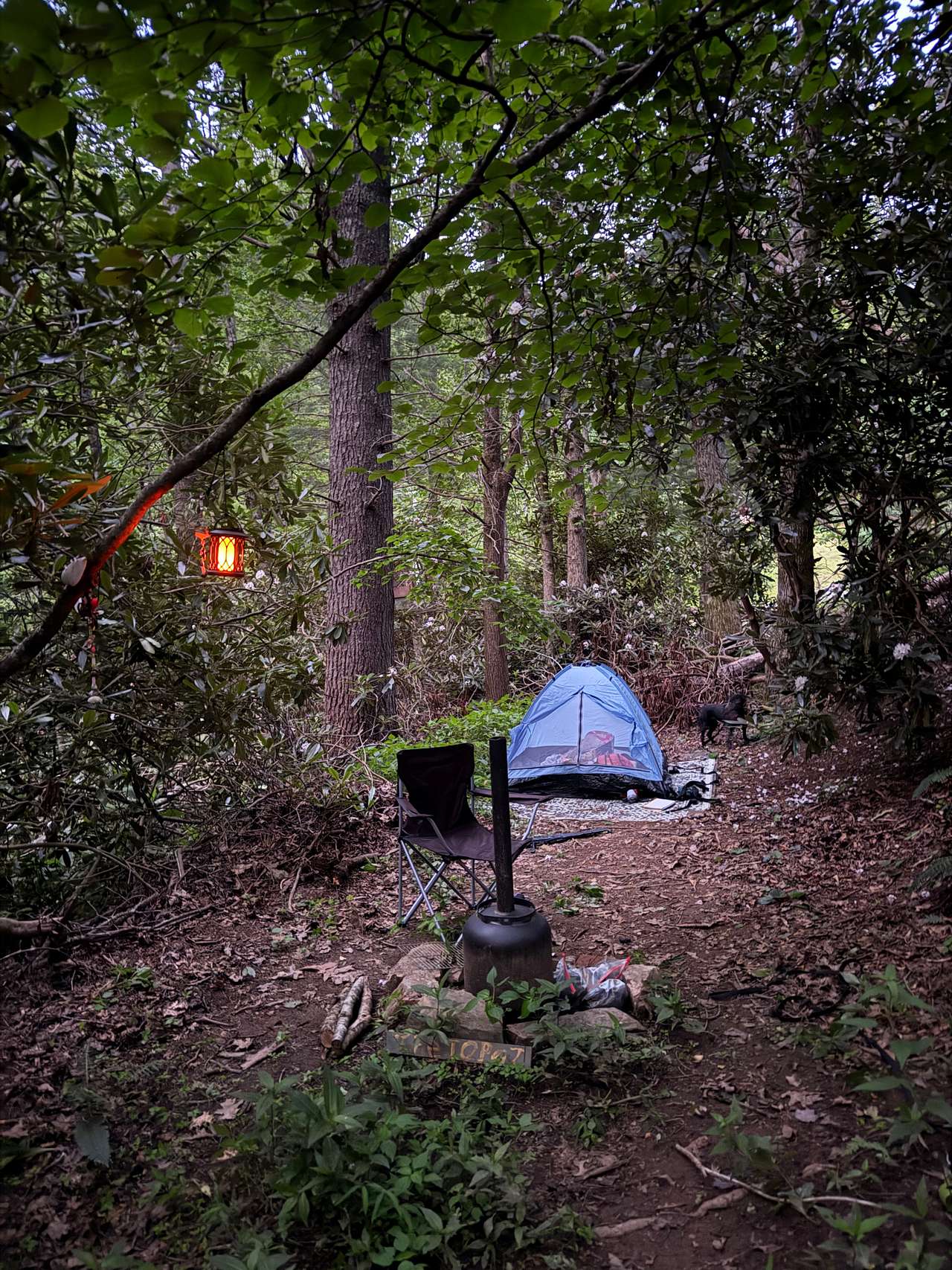 Picture of the site