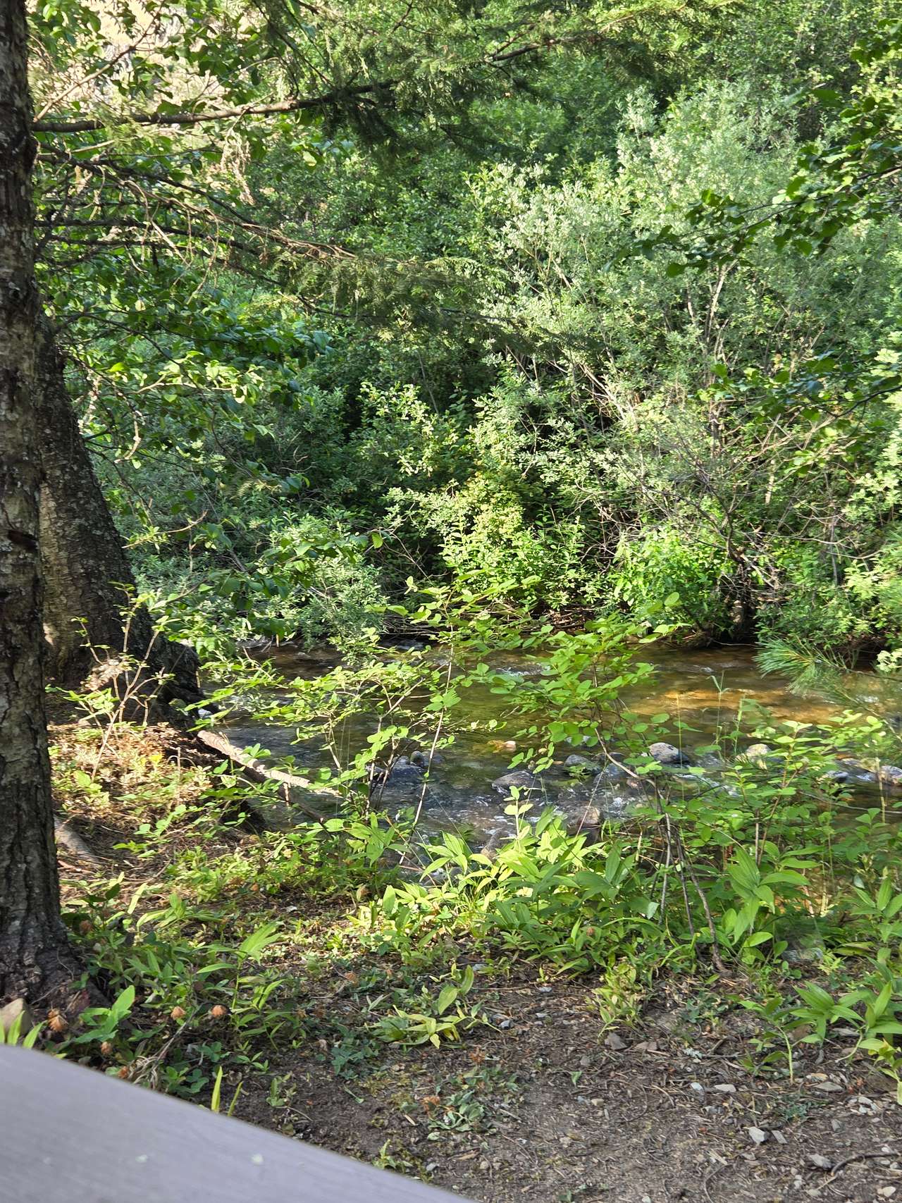 Picture of the site