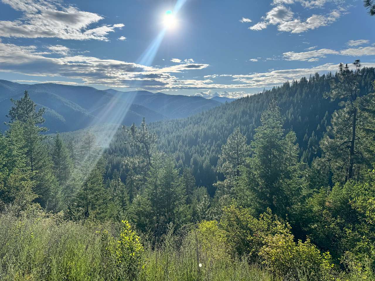 Hike further up from property