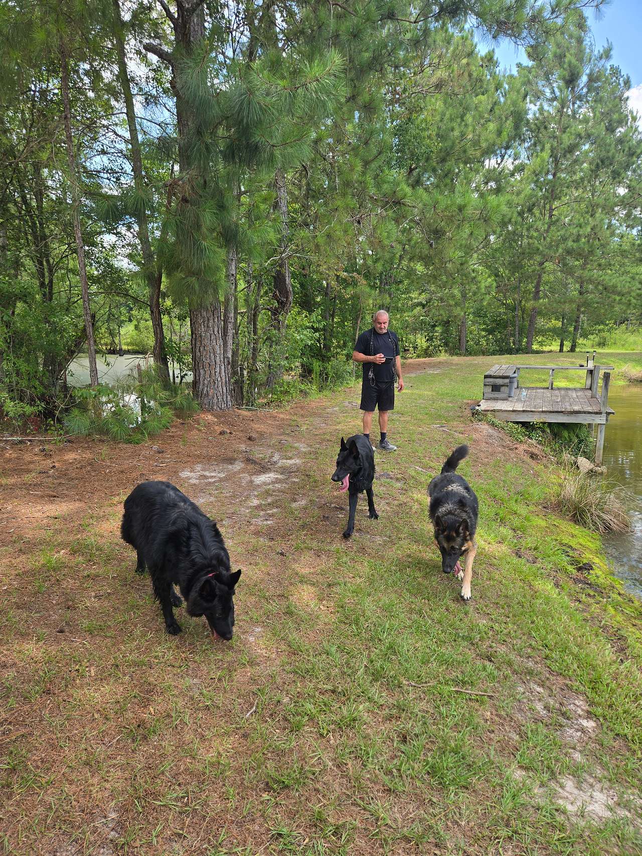 A run down by the pond 