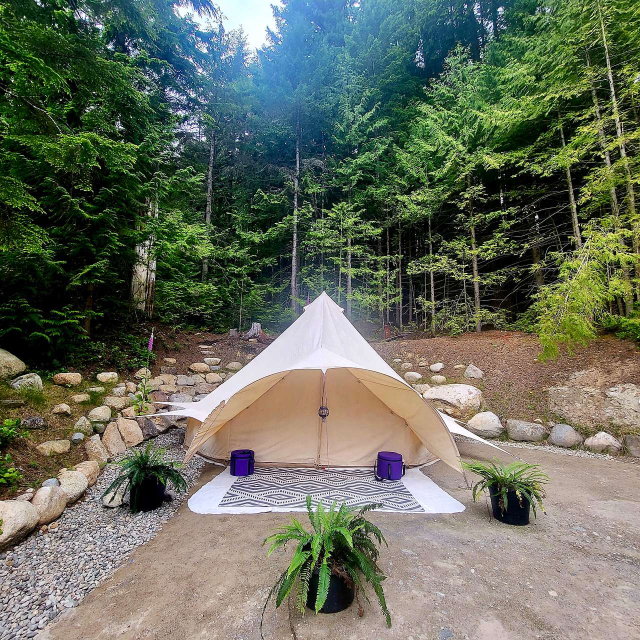 Forest Sanctuary Bell Tent